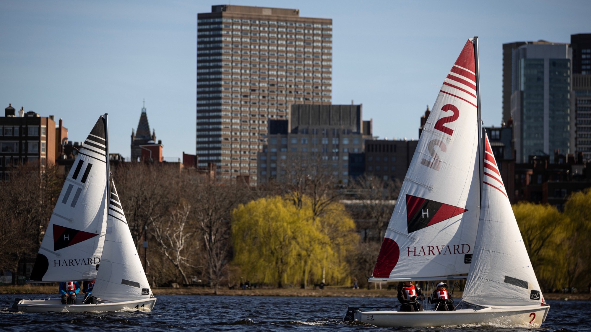 Harvard Sailing on the Charles River