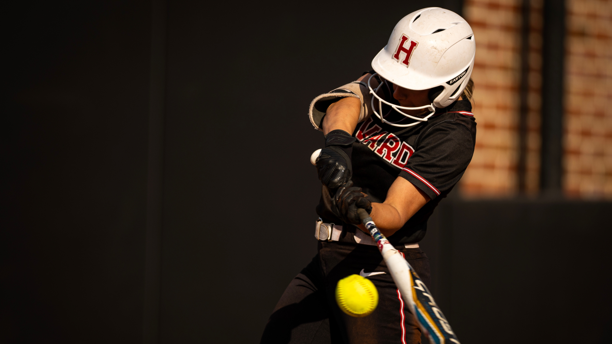 Harvard Softball