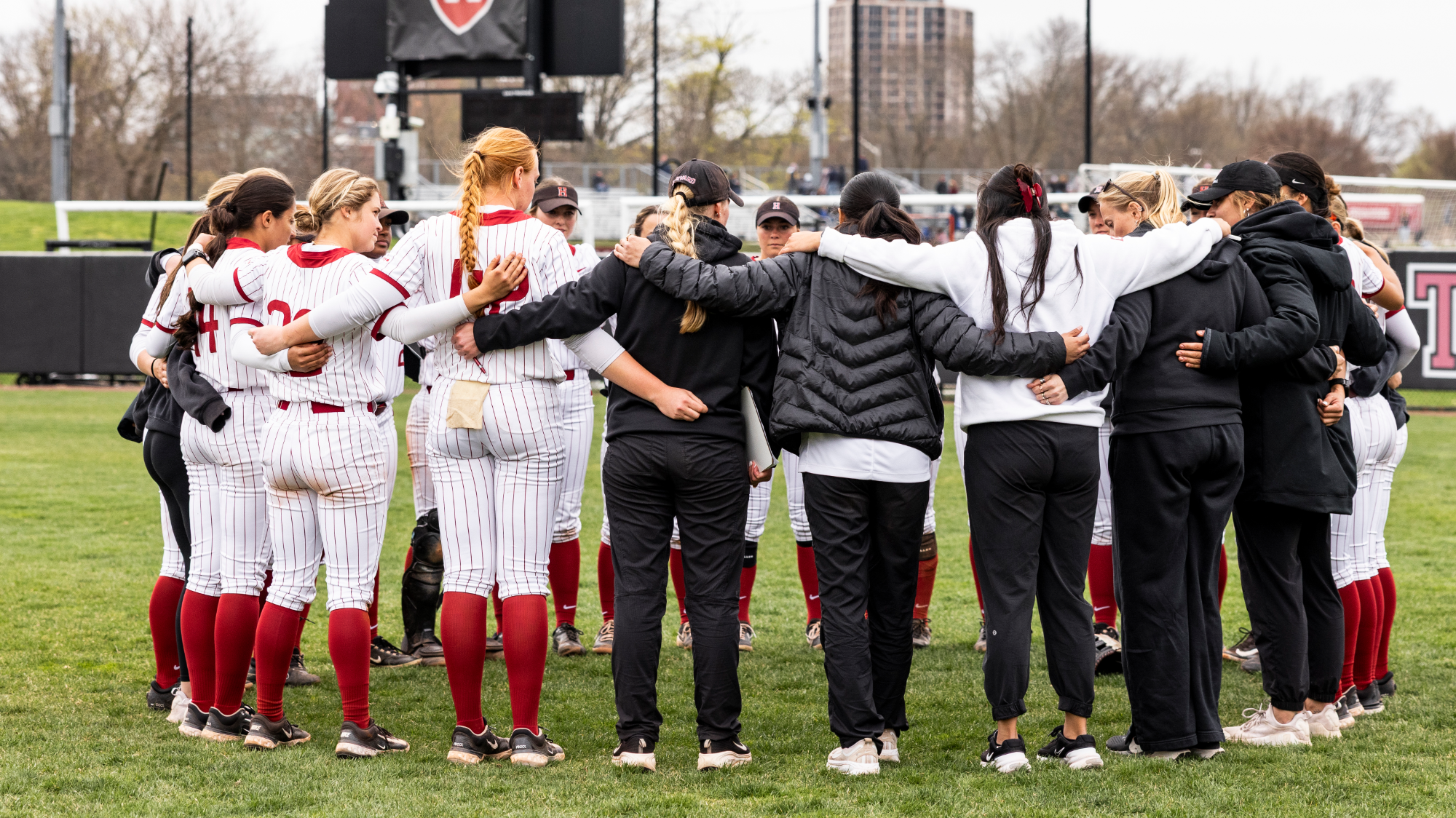 Harvard softball