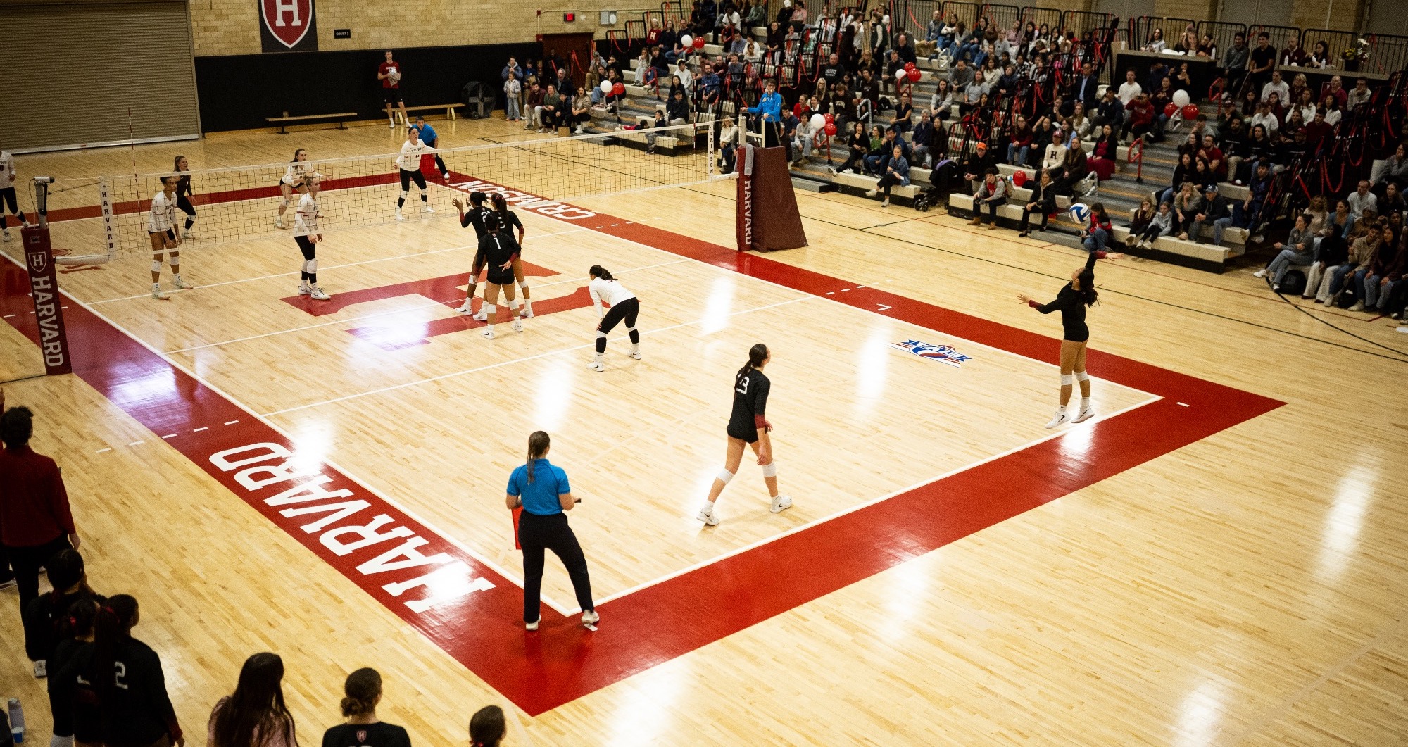 Harvard women's volleyball