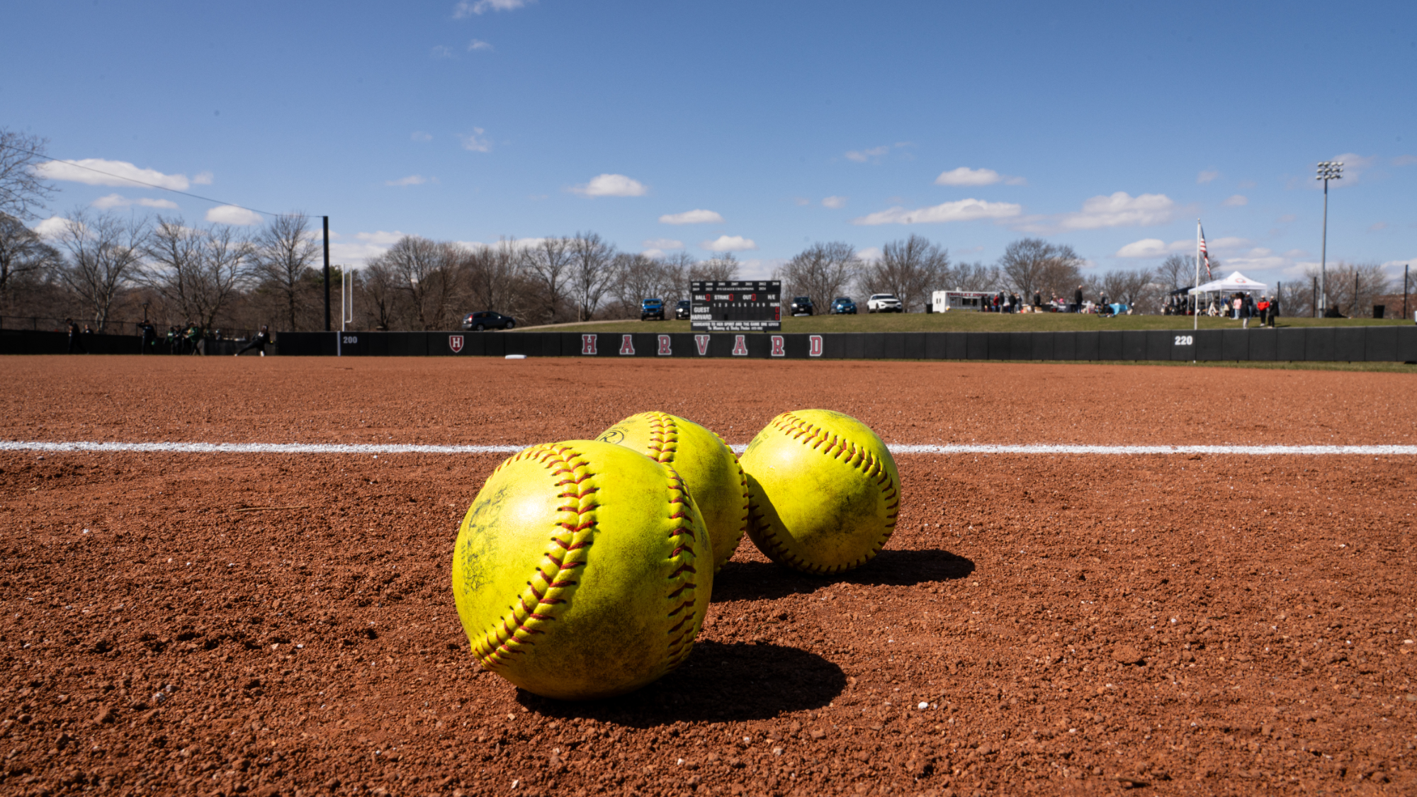 Harvard softball