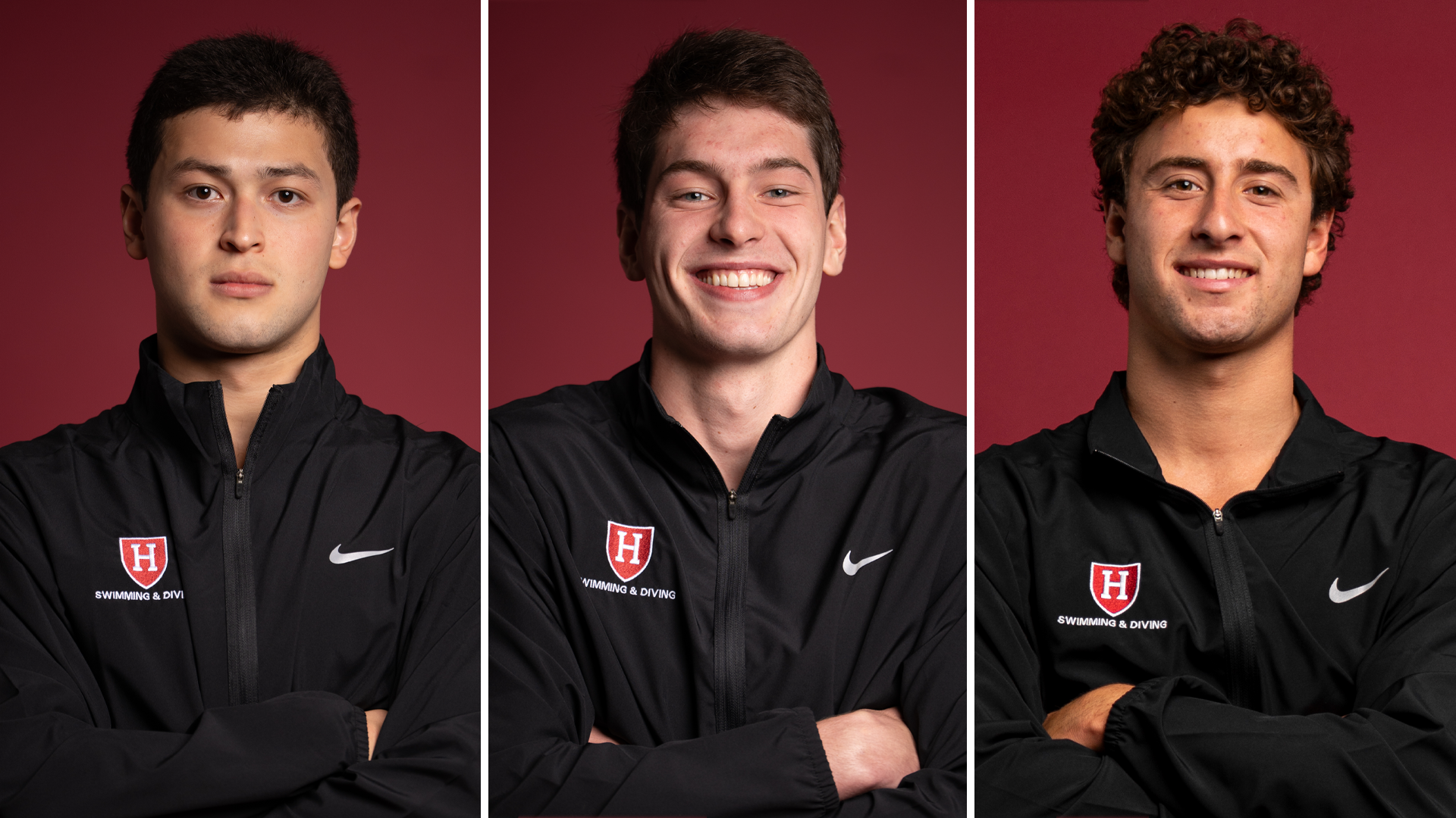 Adriano Arioti, David Greeley, David Schmitt