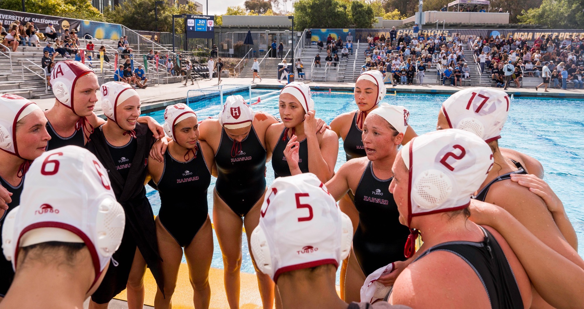 Team Huddle