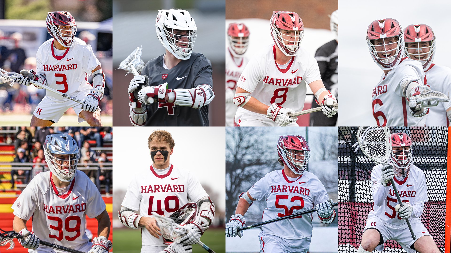 Men's Lacrosse NEILA honorees