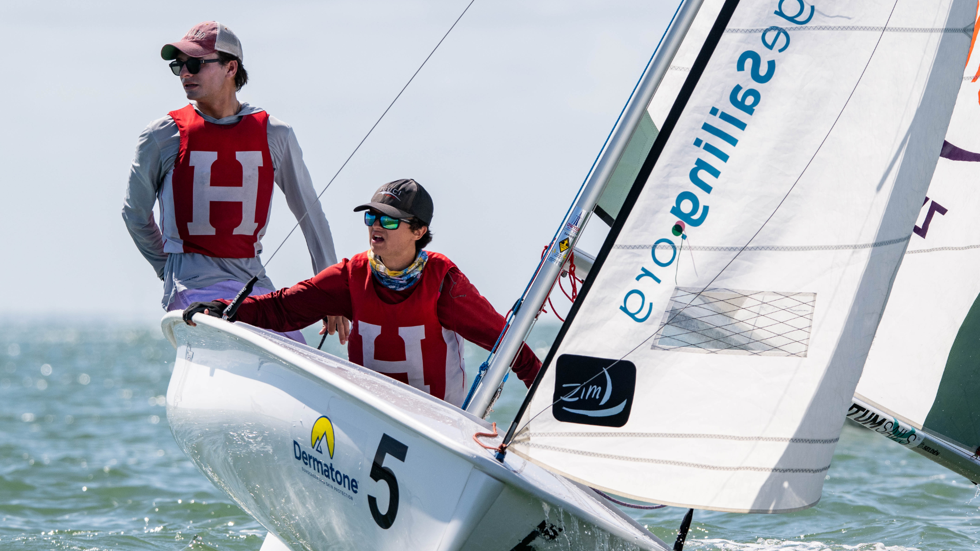 Harvard sailing