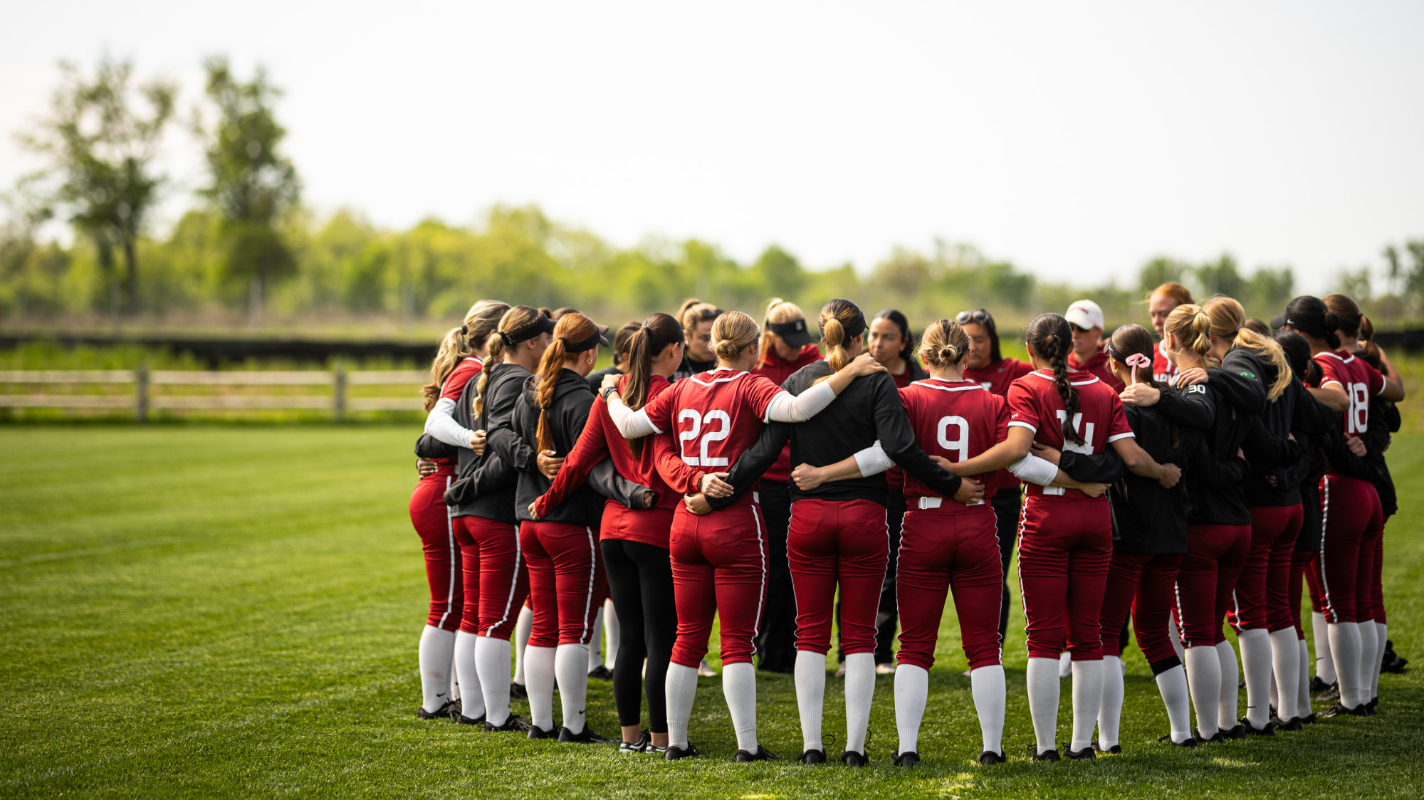 Harvard softball