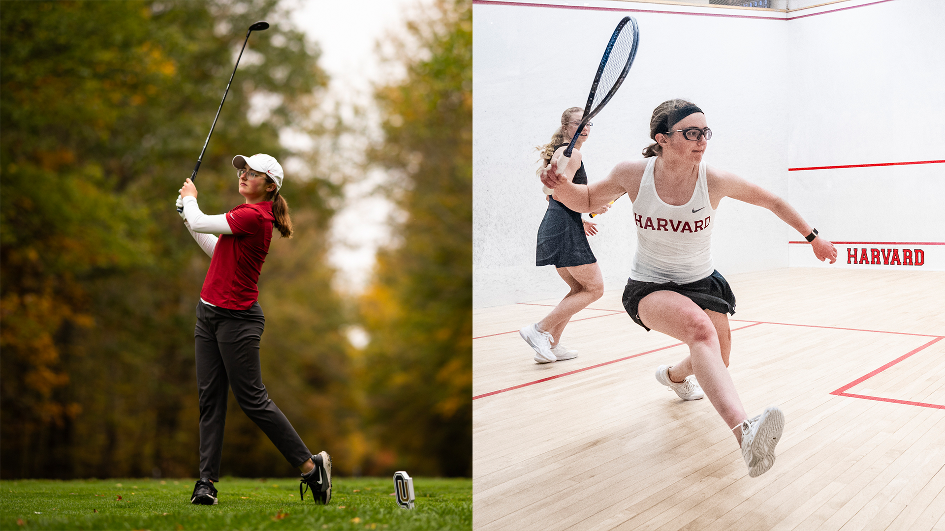 Dixon Hill Golf and Squash`