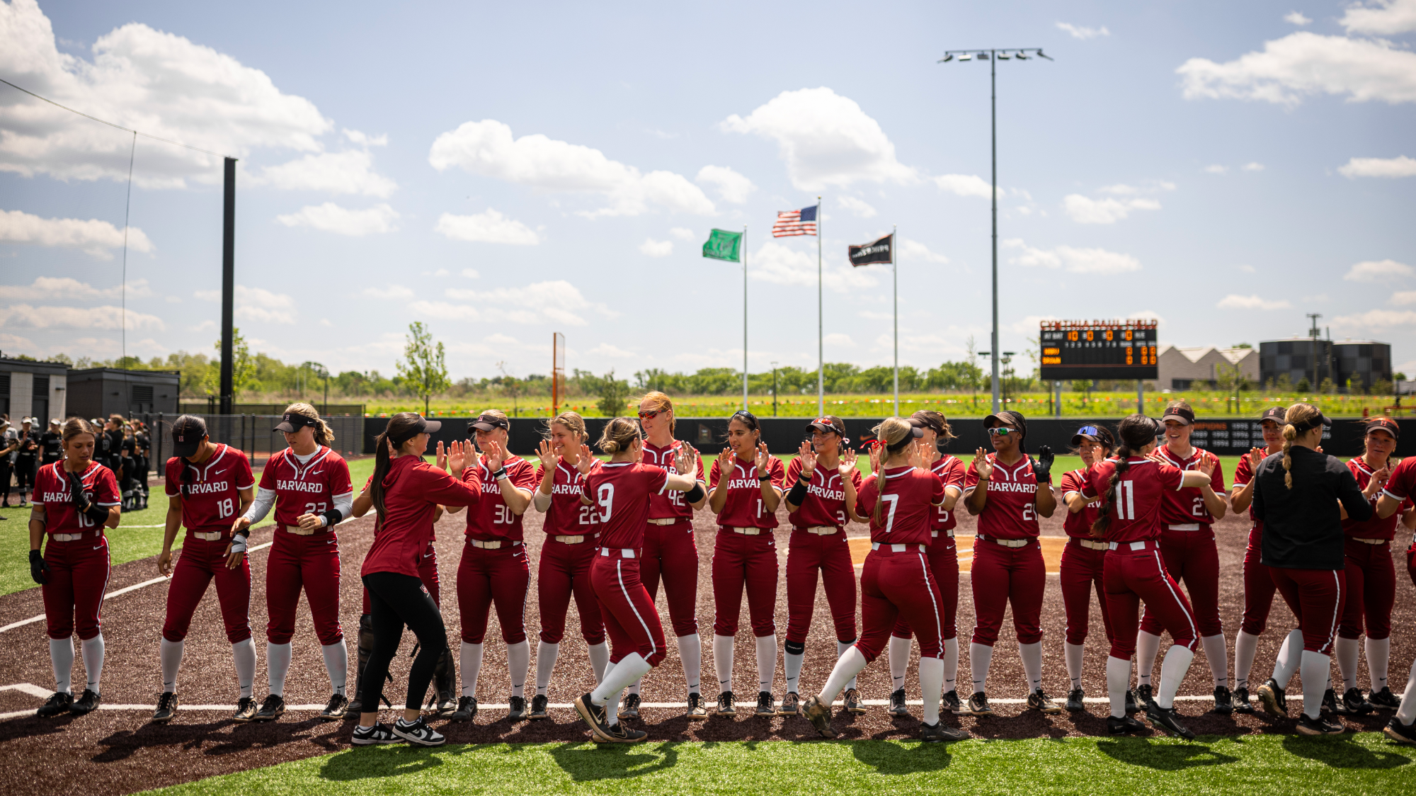 Harvard softball