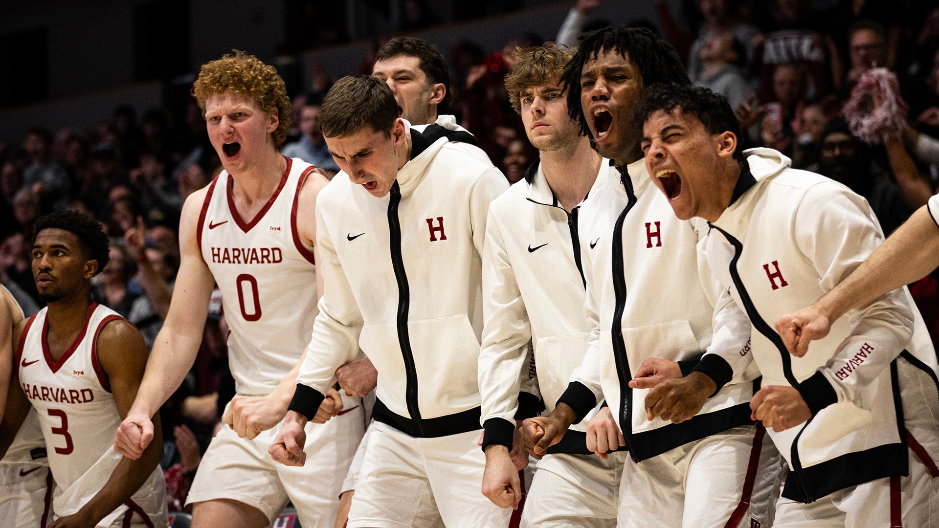 Team Celebration