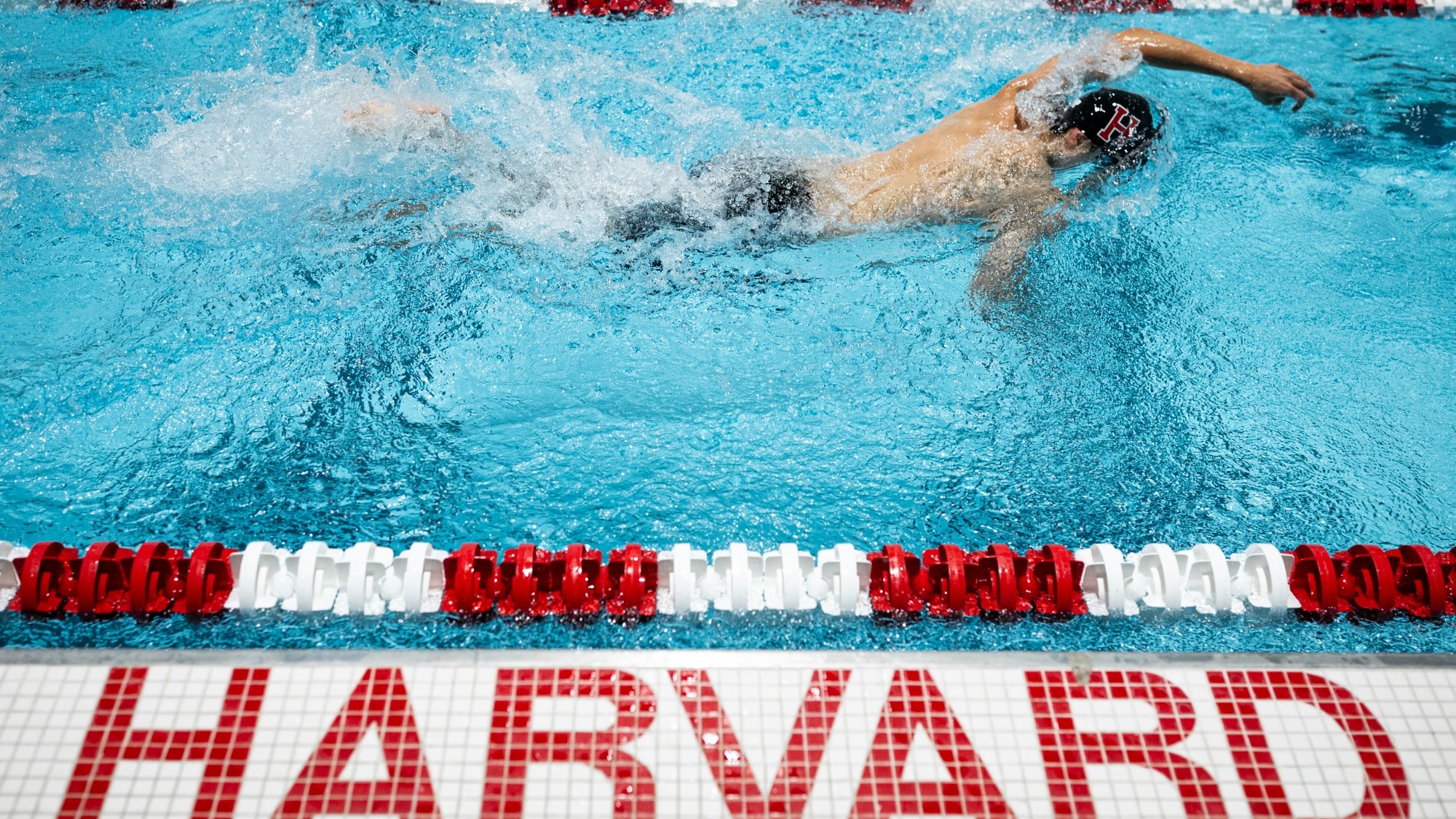 Harvard Men's Swimmer in the pool