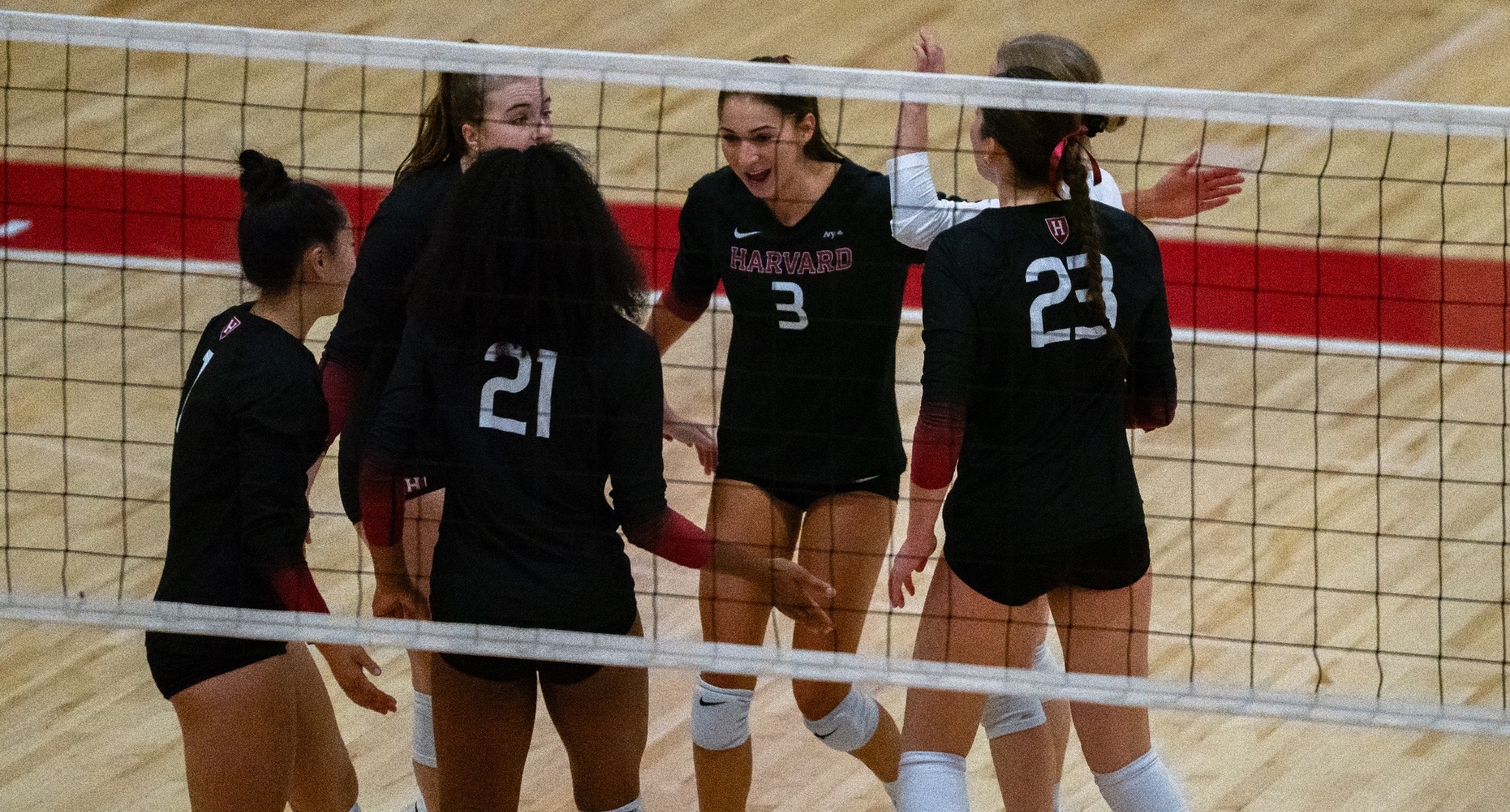 Harvard Women's Volleyball