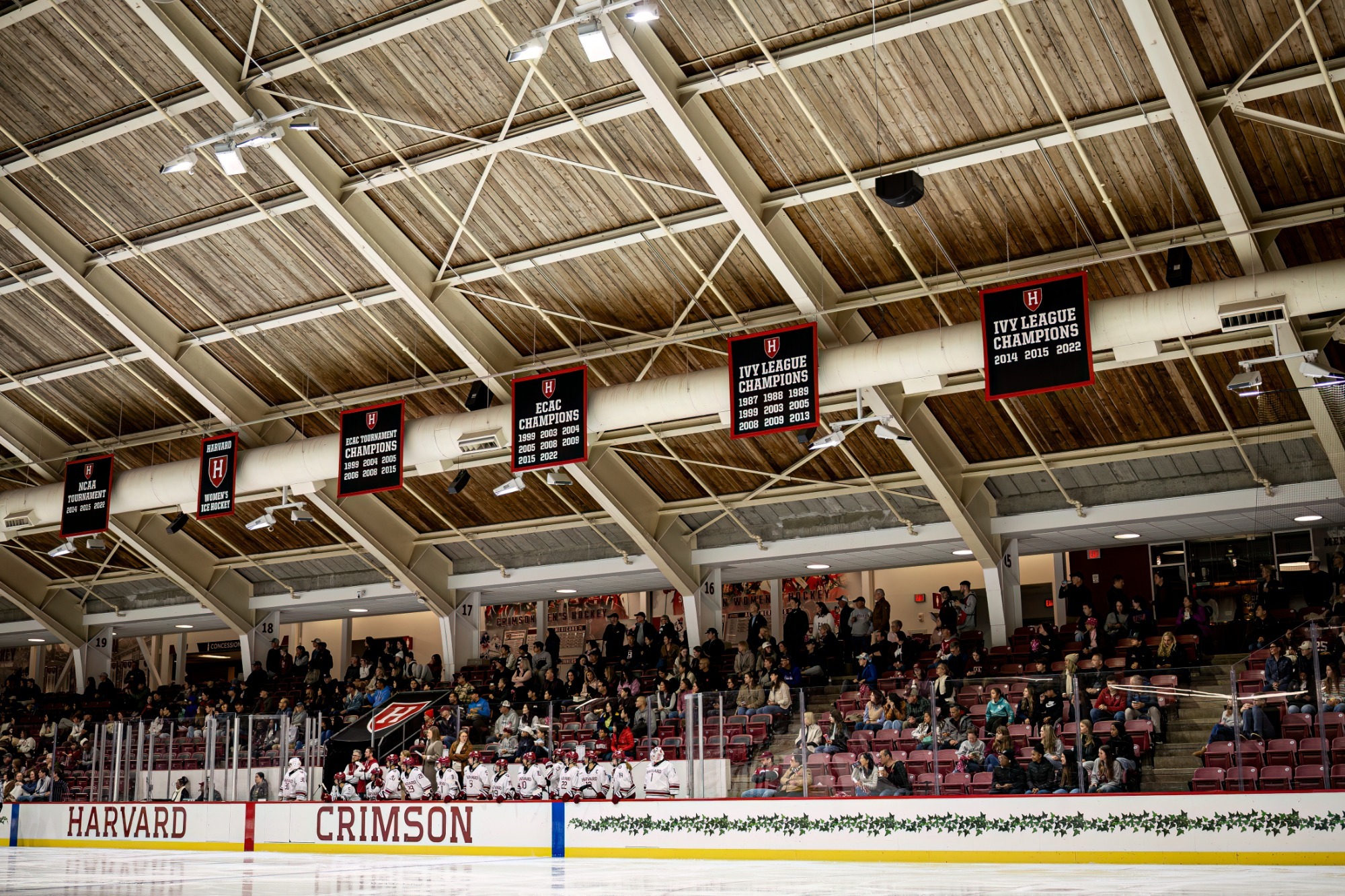 Women's ice hockey bench and stands during a 2025 game against Colgate.