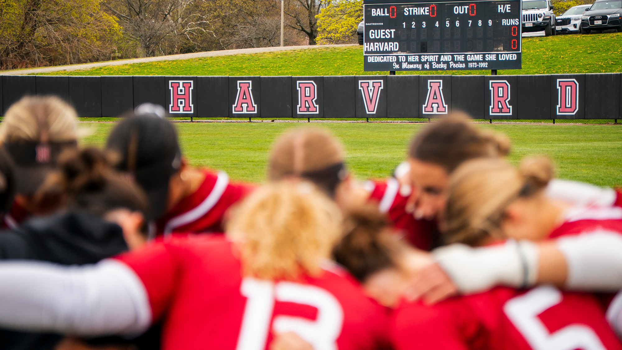 Harvard softball