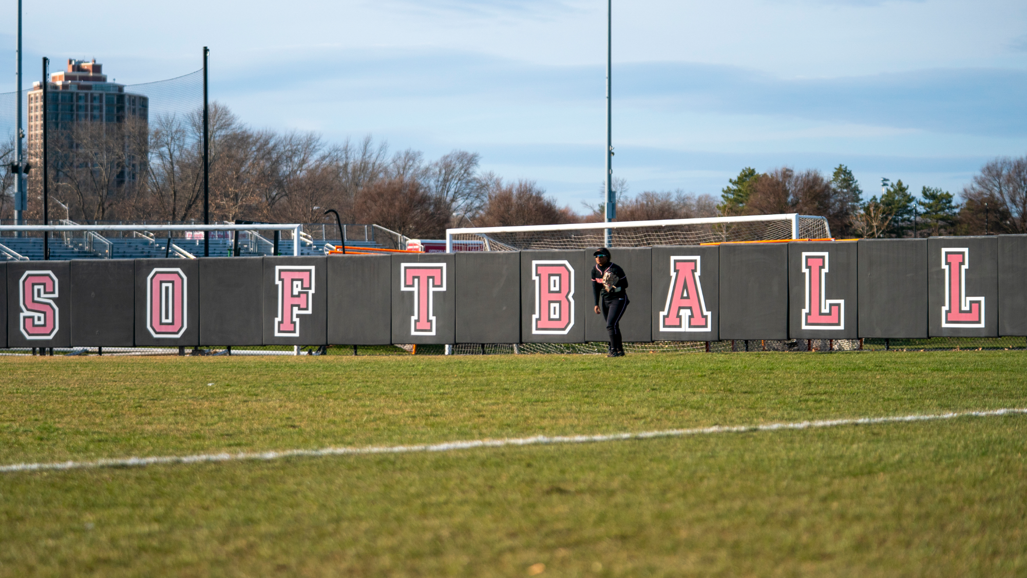 Harvard Softball