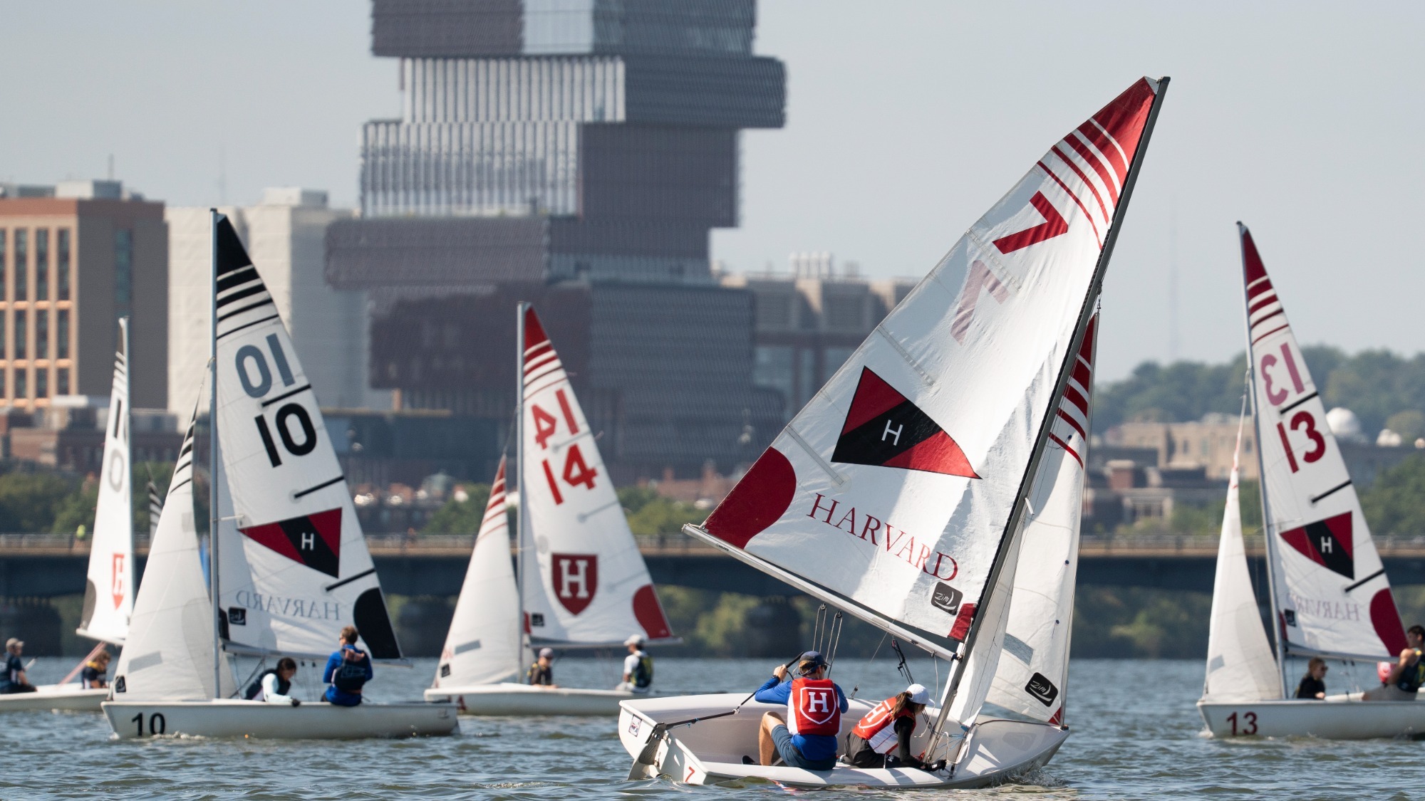 Harvard Sailing on Charles River at Charles Invitational