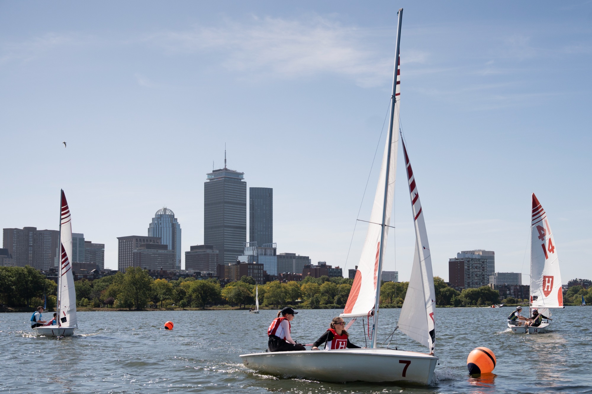 Harvard Sailing in action against Sailing Meet on September 12, 2026, with sail, boat, and crew.