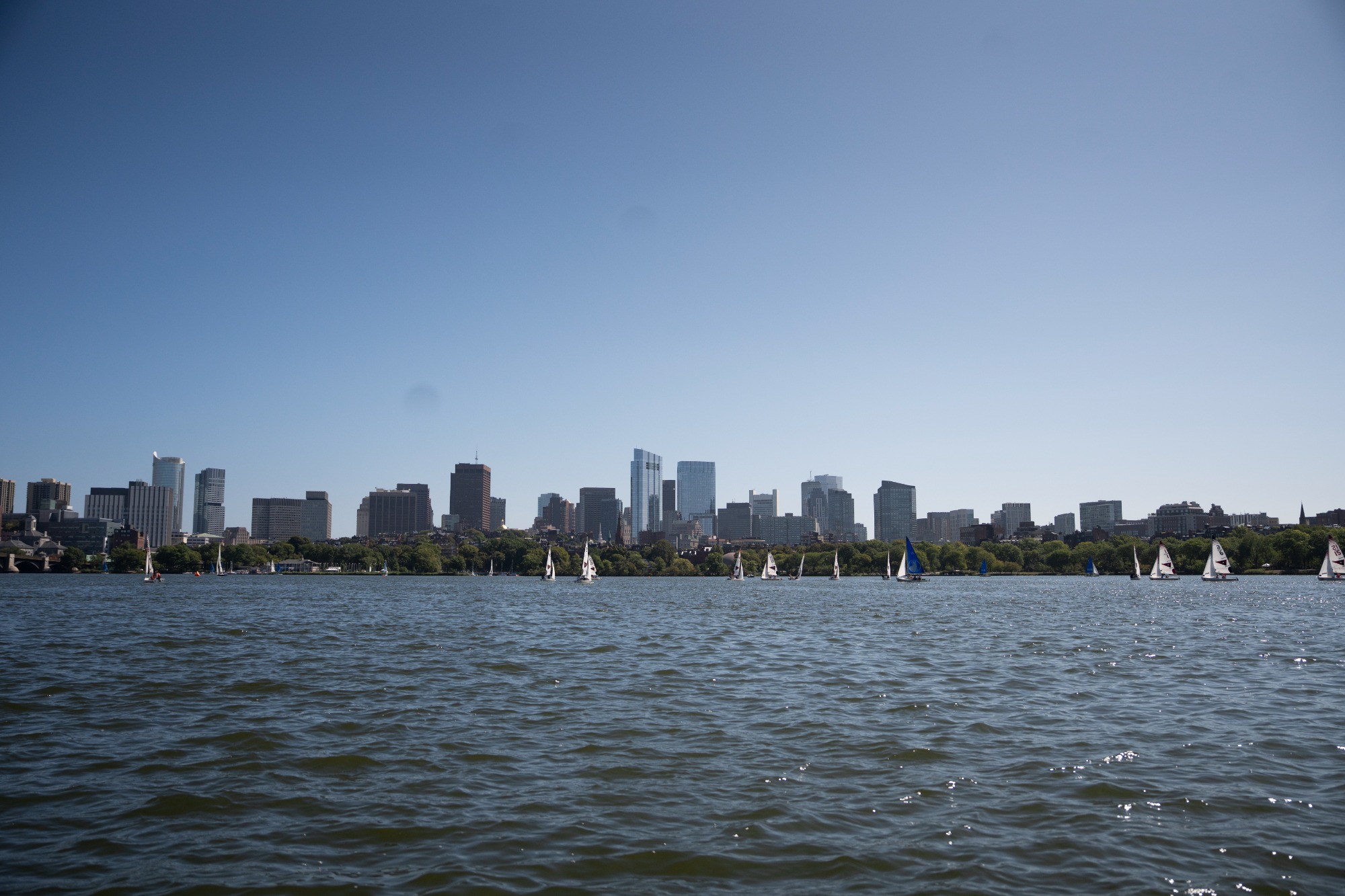 Harvard Sailing in action against Sailing Meet on September 12, 2026, with sail and warmup.