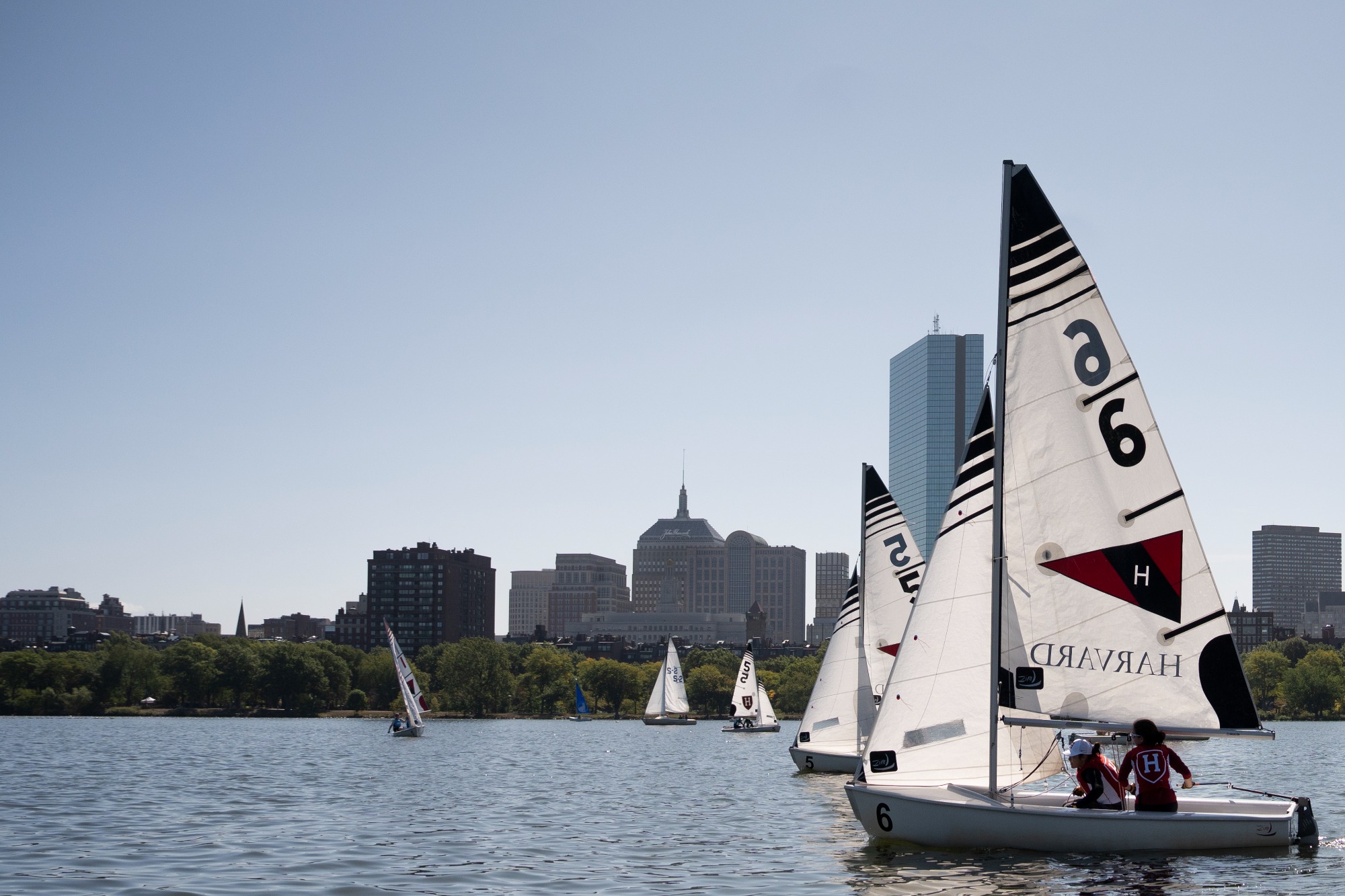 Harvard Sailing in action against Sailing Meet on September 12, 2026, with sail, boat, wind, and action.