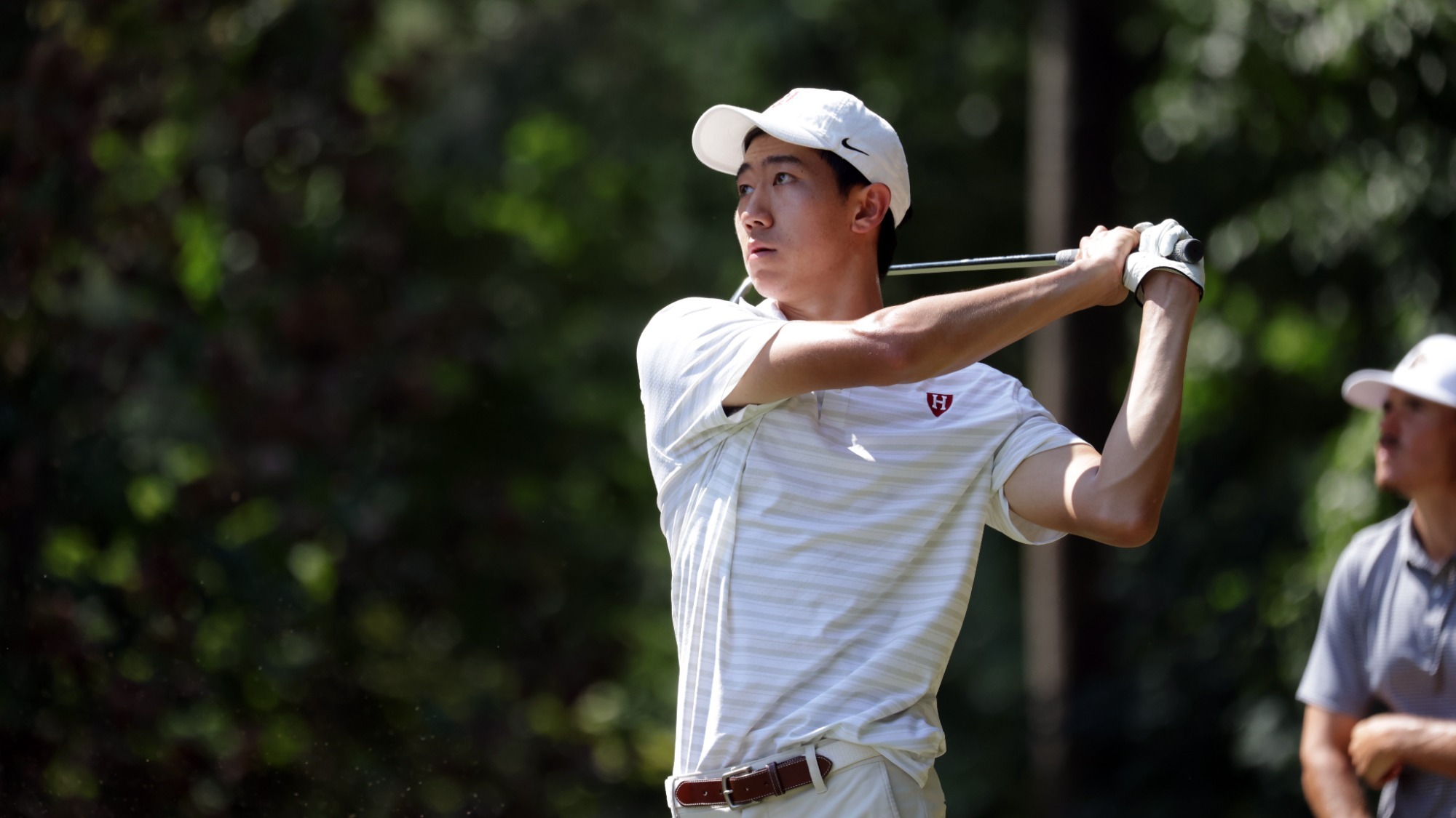 Harvard golf