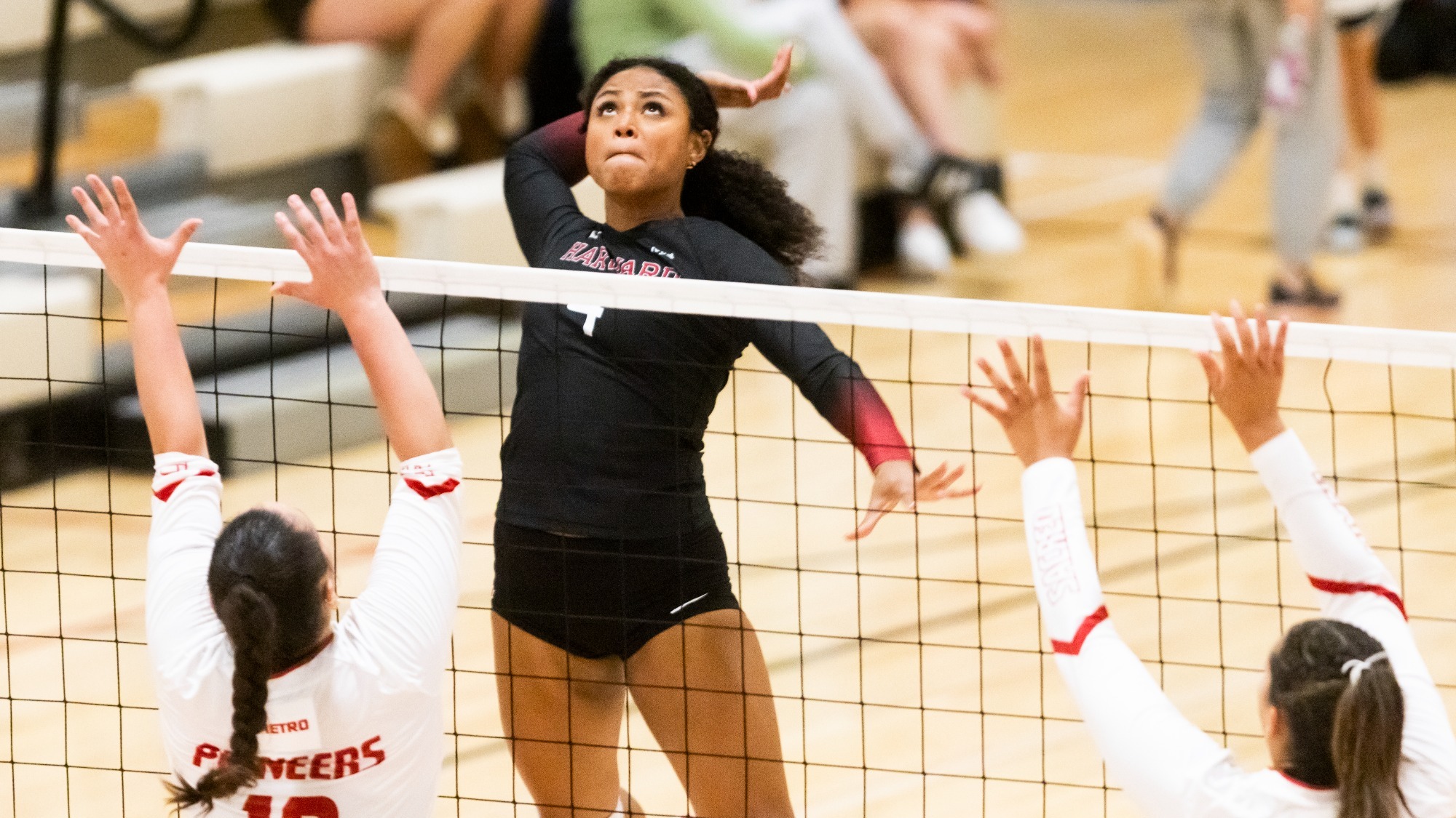 Masina Ogbechie vs Sacred Heart