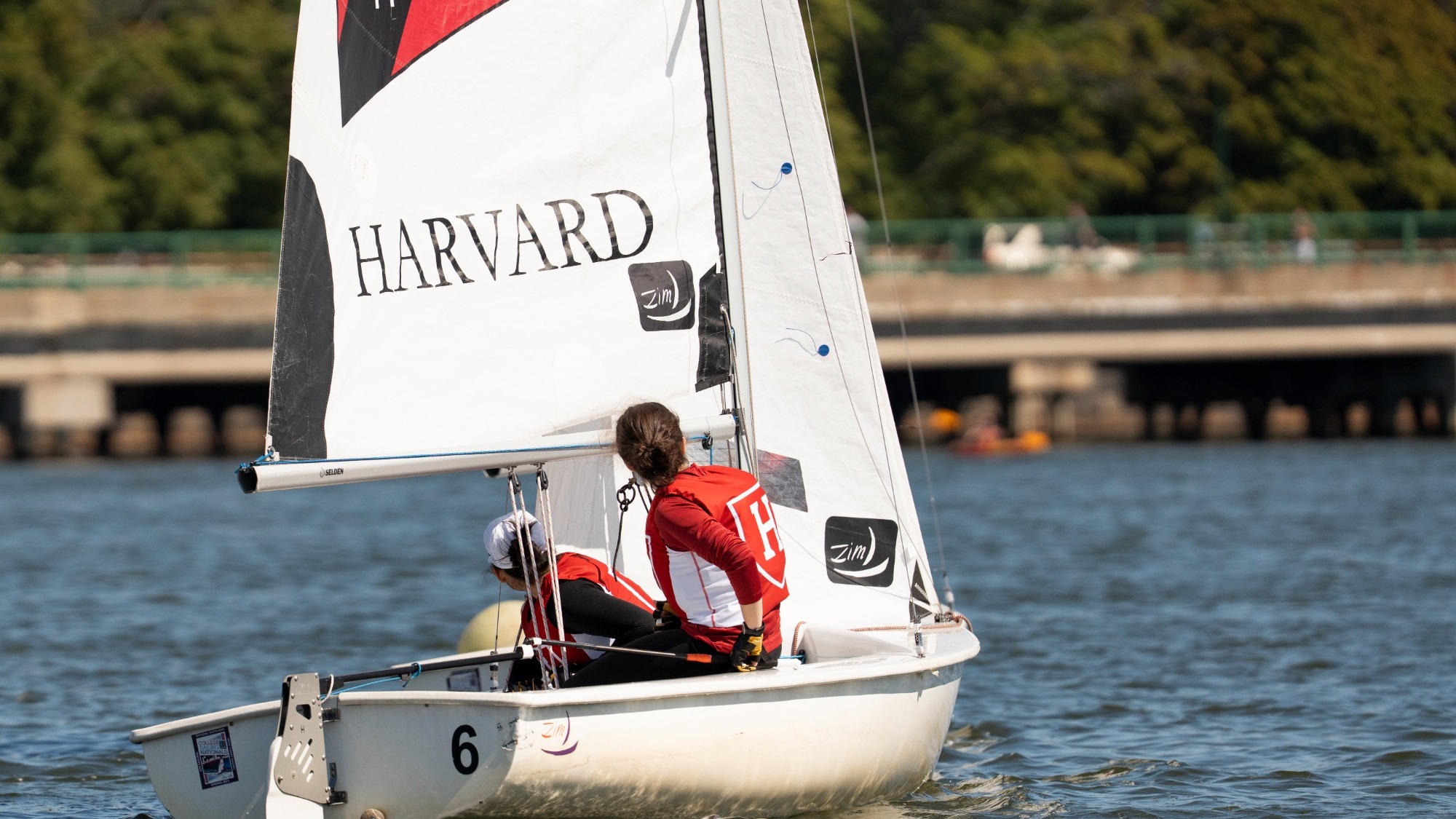 Havard Sailing