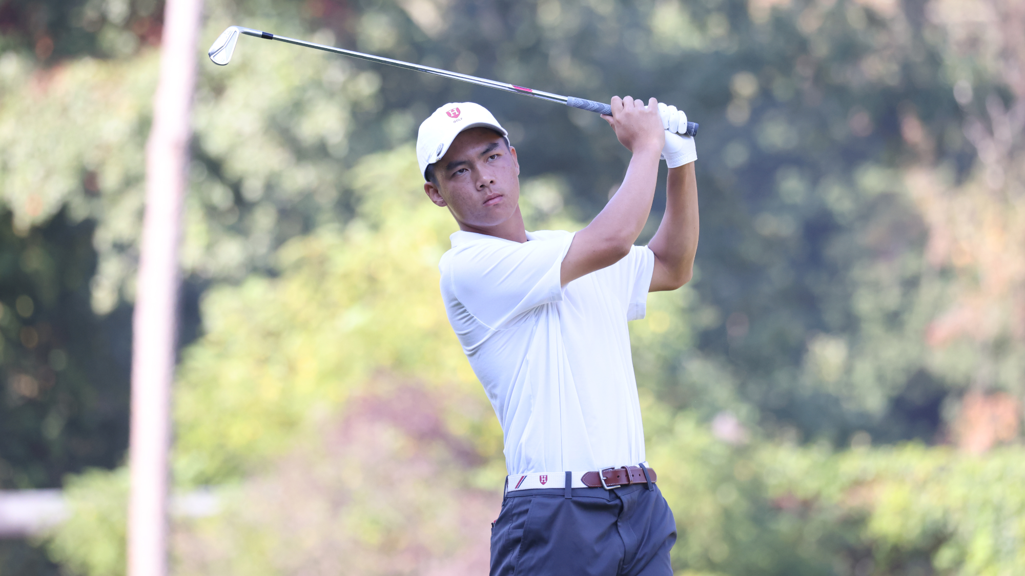 Harvard Golf