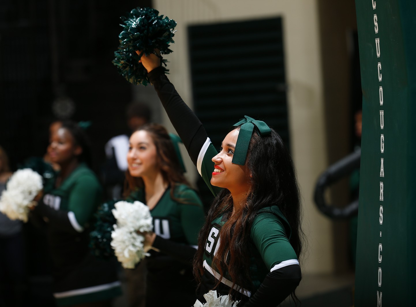 Cheerleader cheerleading