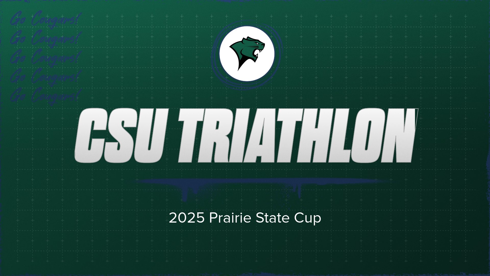 Triathlon 