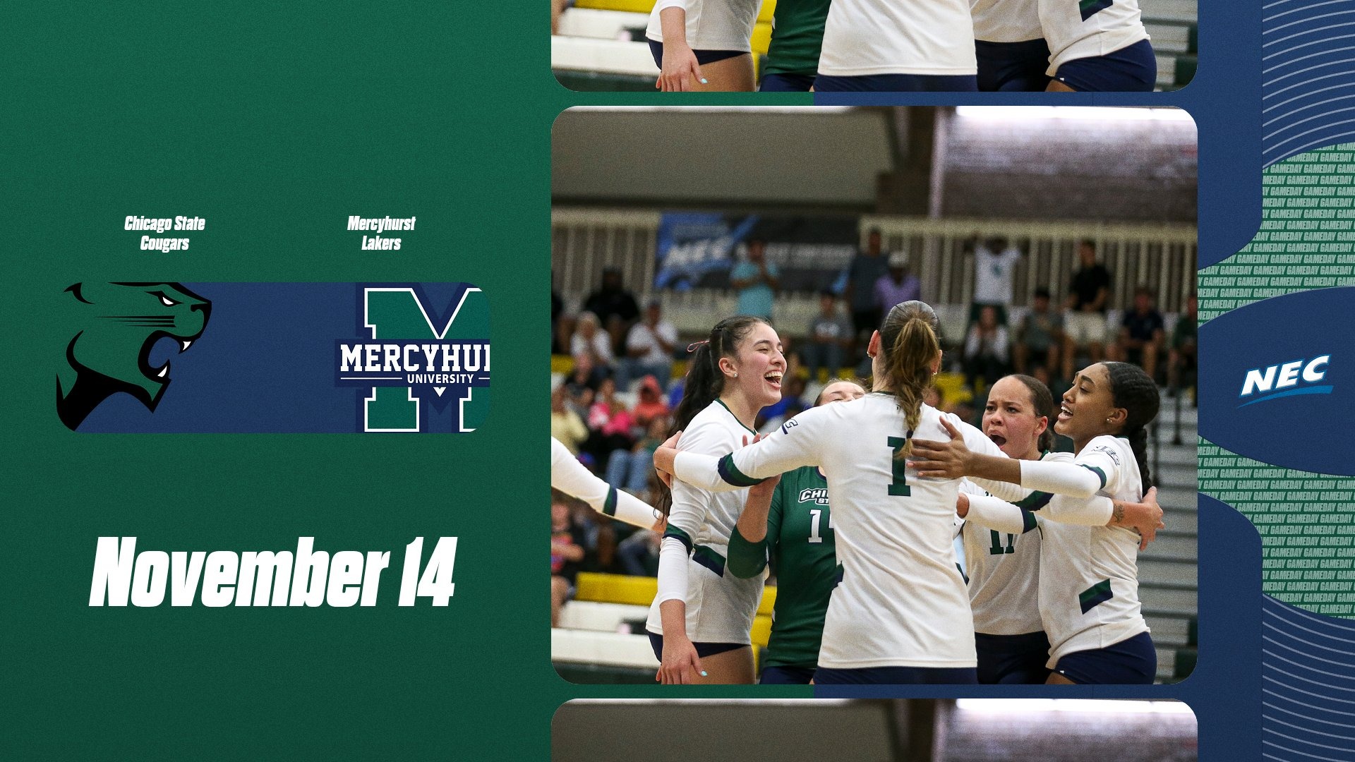VB_Mercyhurst