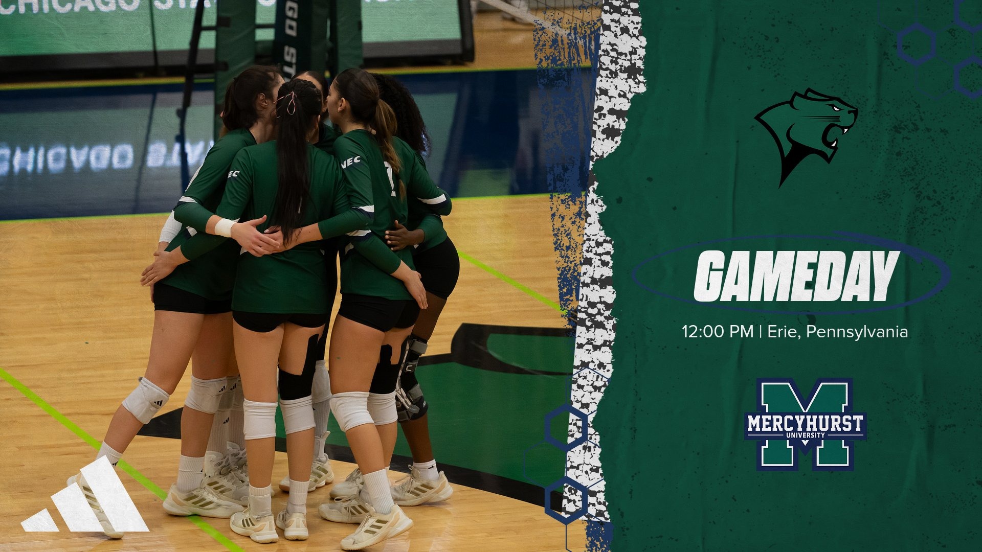 Mercyhurst VB Final 