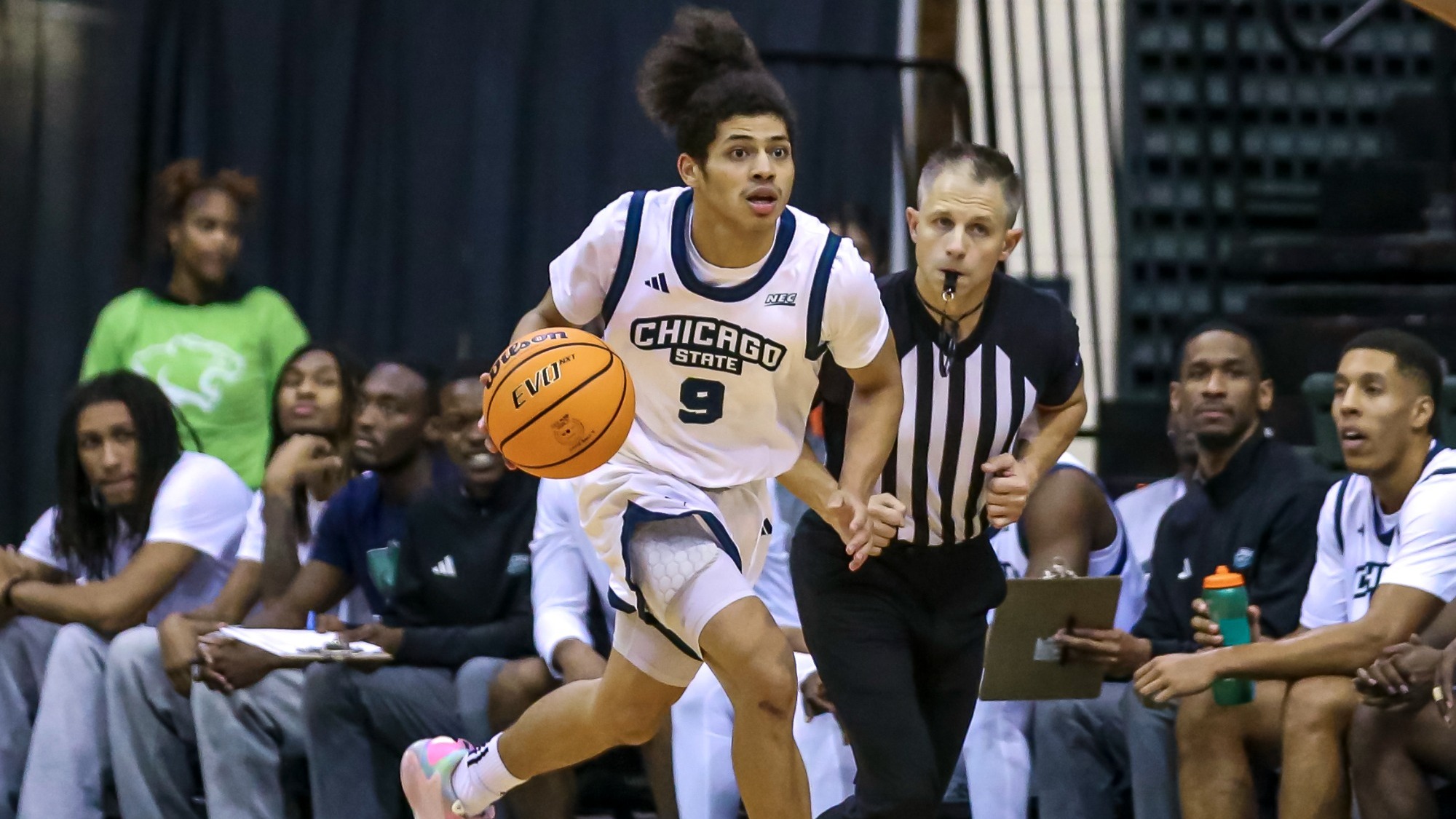 Robinson_Malek_UIC2025