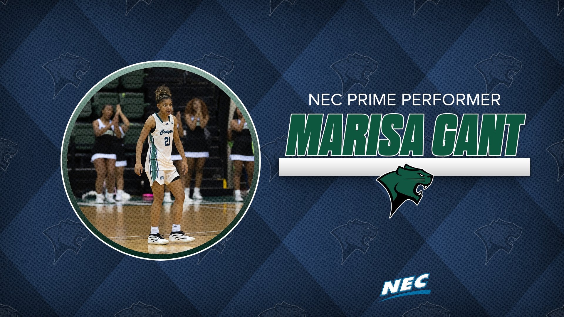 Gant_Prime Performer