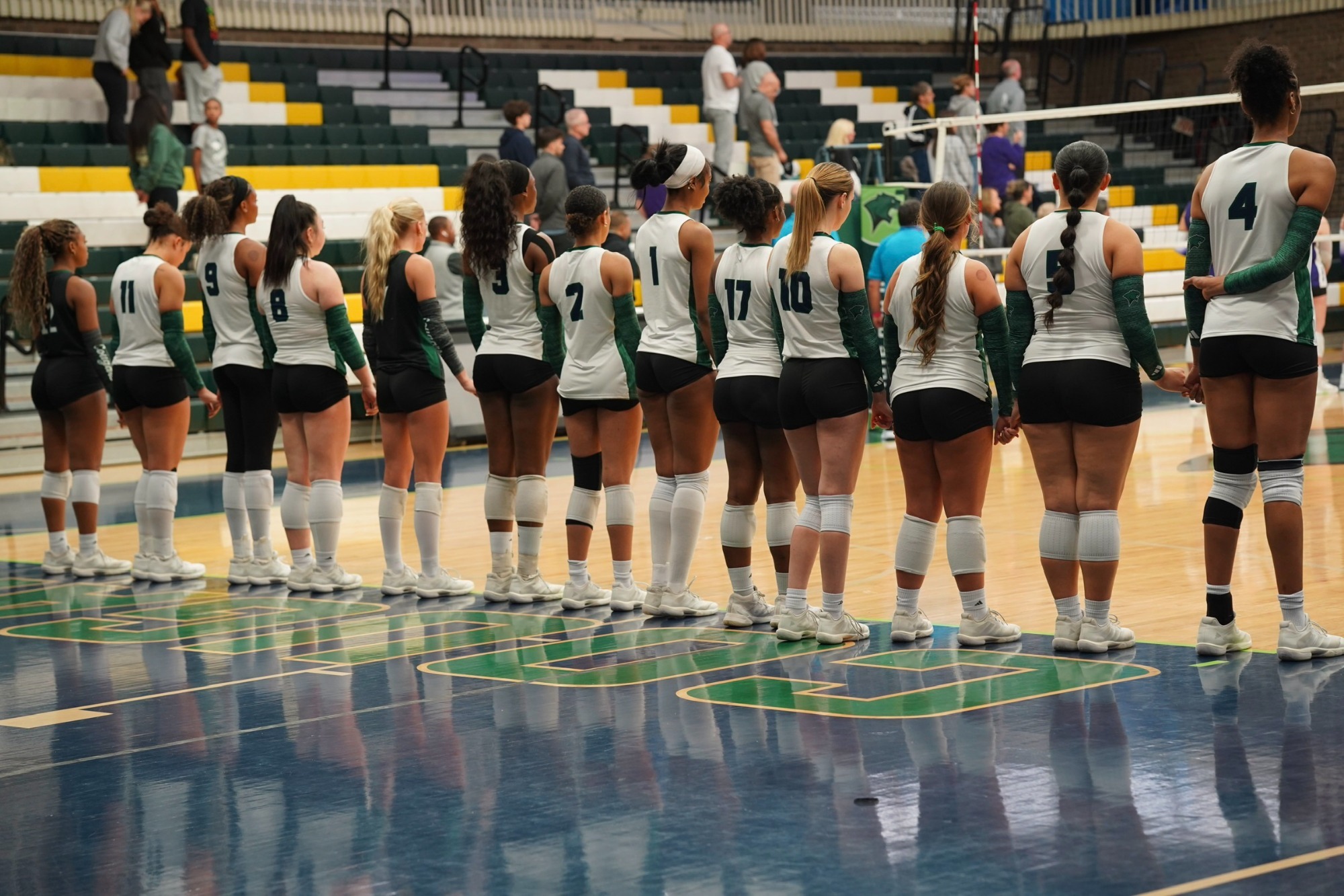 VB RECAP 102