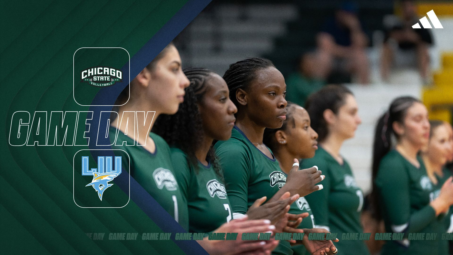 WVB RECAP 109