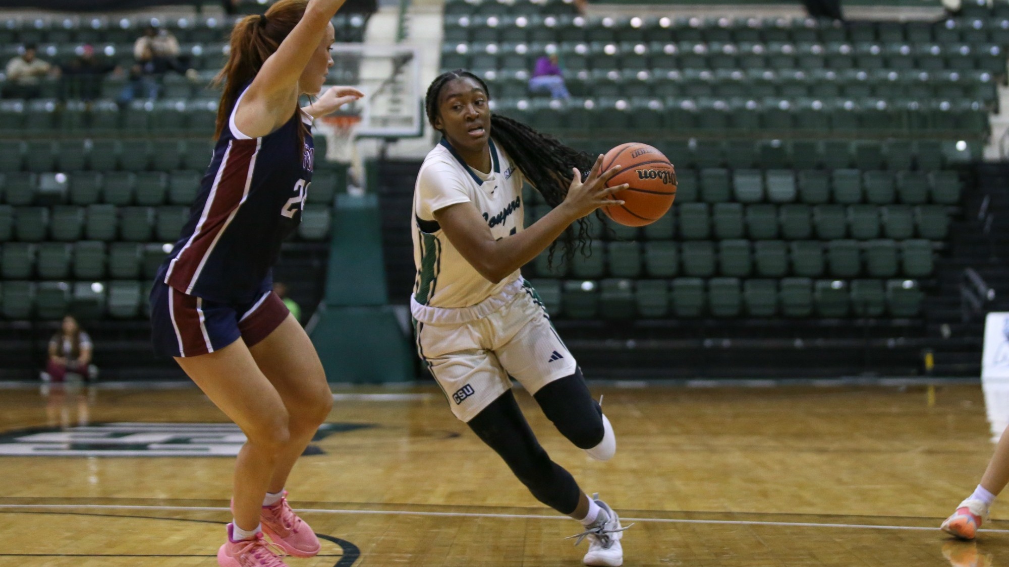 Hill_Brianna_FDU_1.8