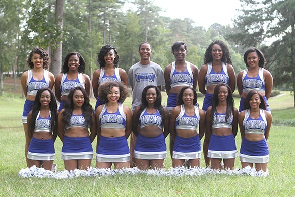 Cheerleading Team