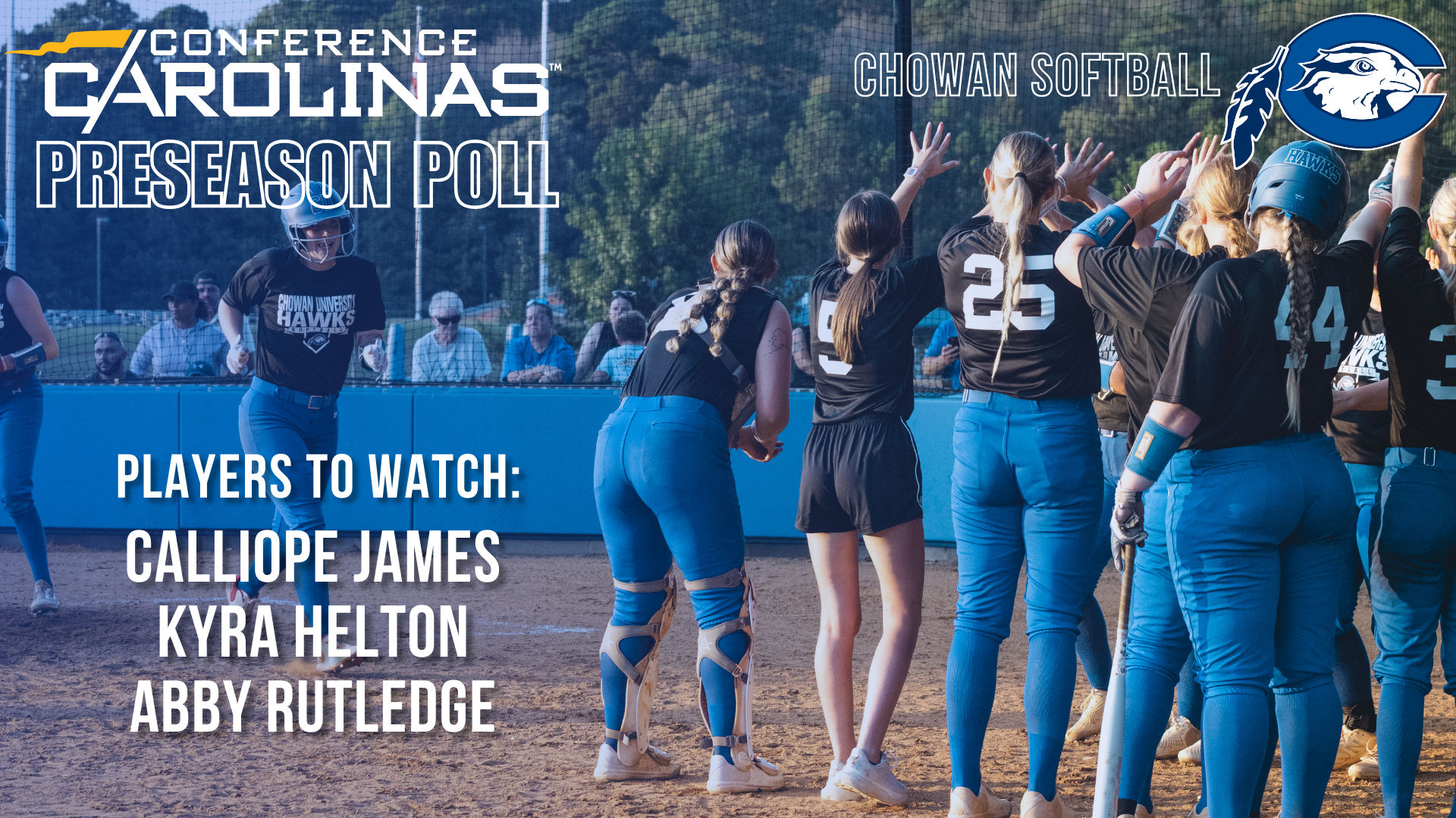 Softball preseason polls
