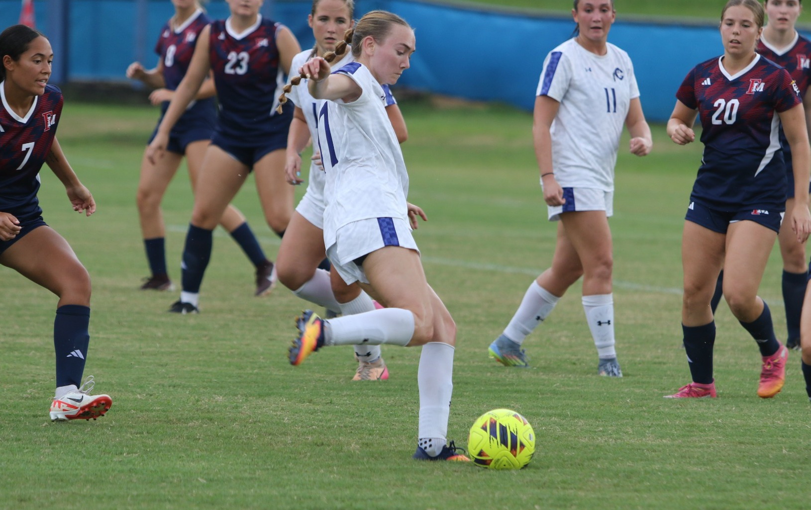 Palmer vs Ferrum