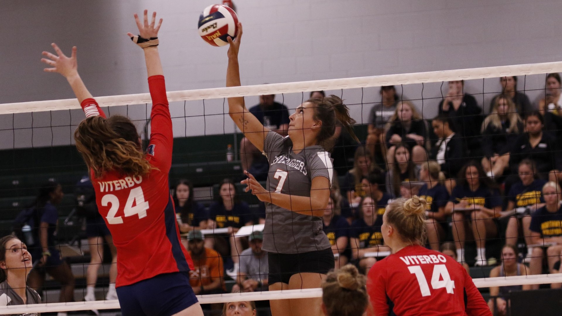 Taylor Henley Women's Volleyball Montana Tech Athletics