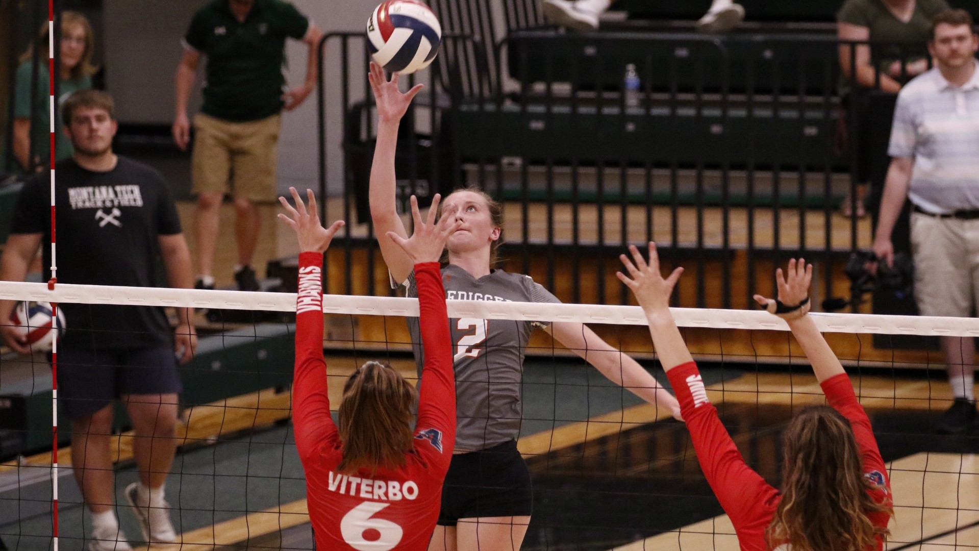 Maureen Jessop Women's Volleyball Montana Tech Athletics