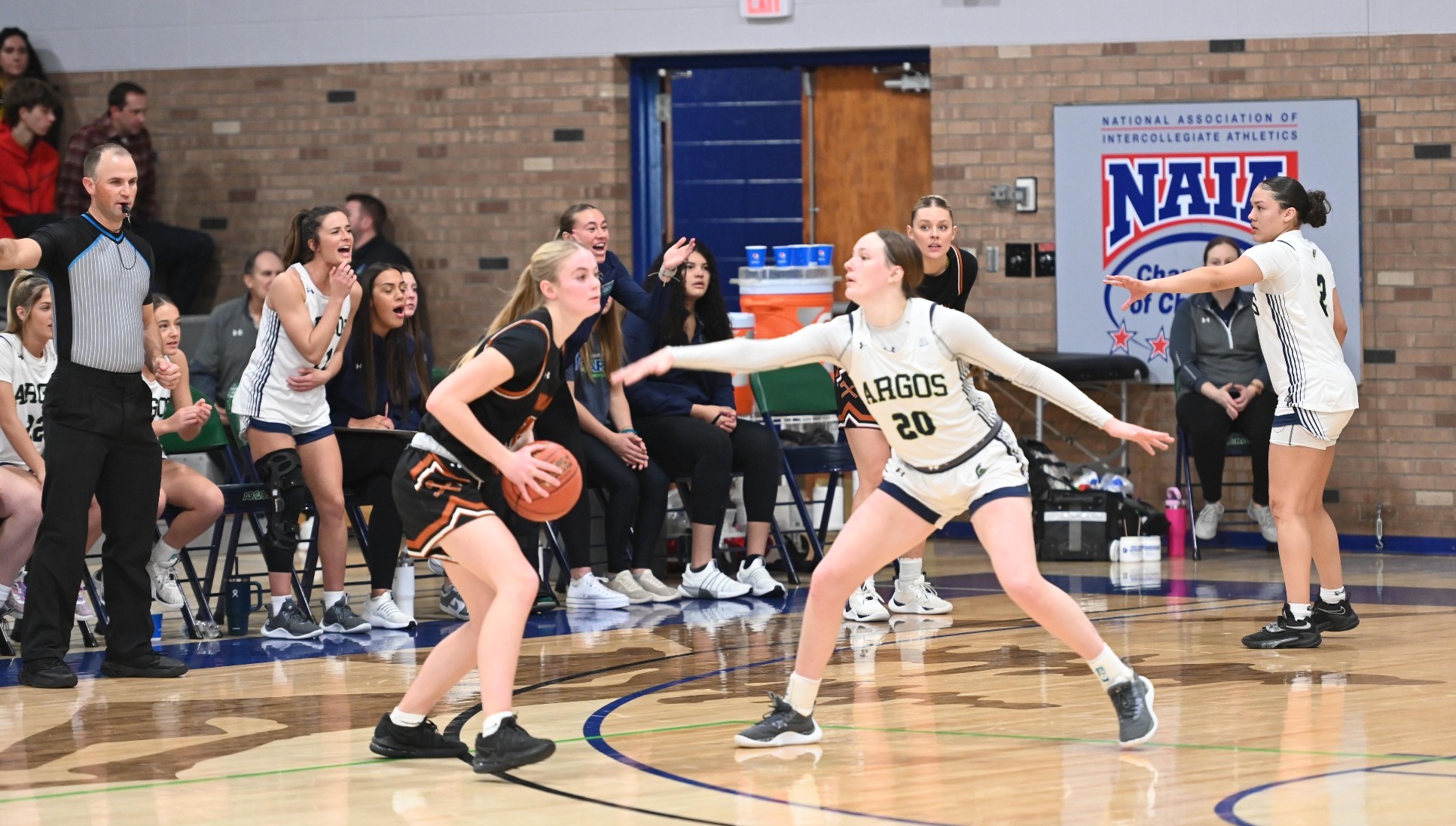 Argos Dominate the Paint Defeating Orediggers 6553 Montana Tech