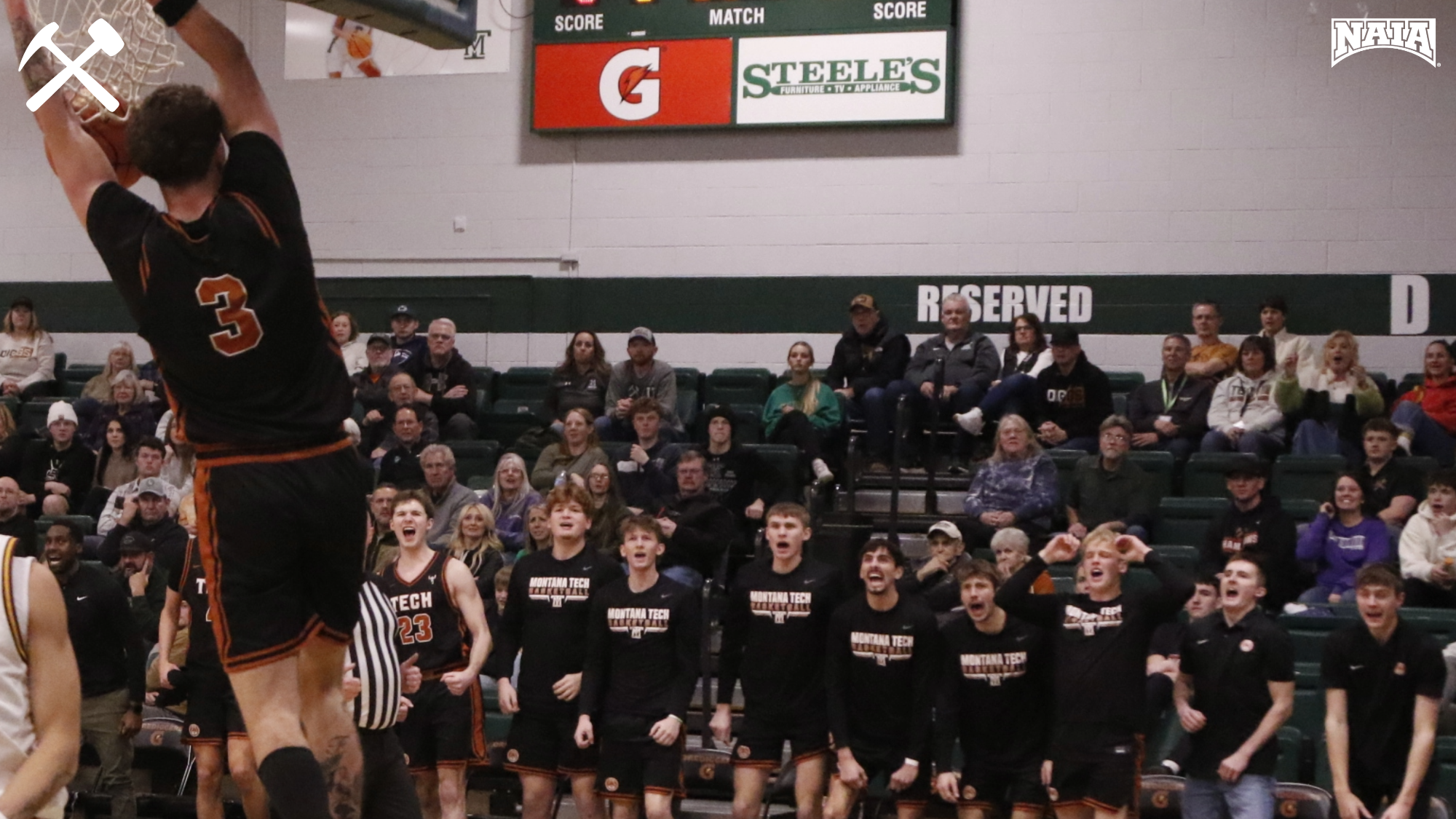 Montana Tech men's basketball players celebrate a teammate's dunk from the bench