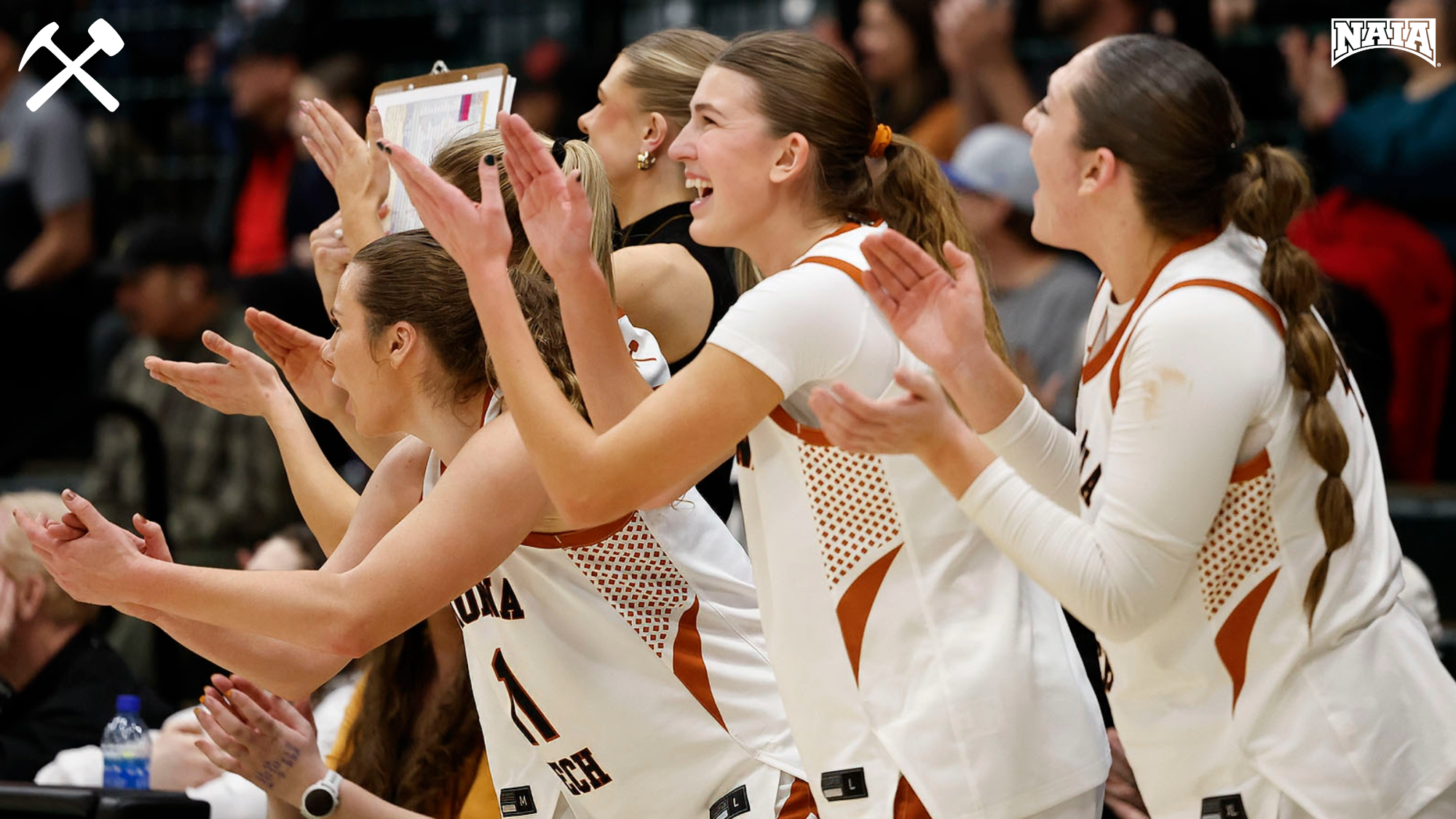 Montana Tech women's basketball players cheer from the bench