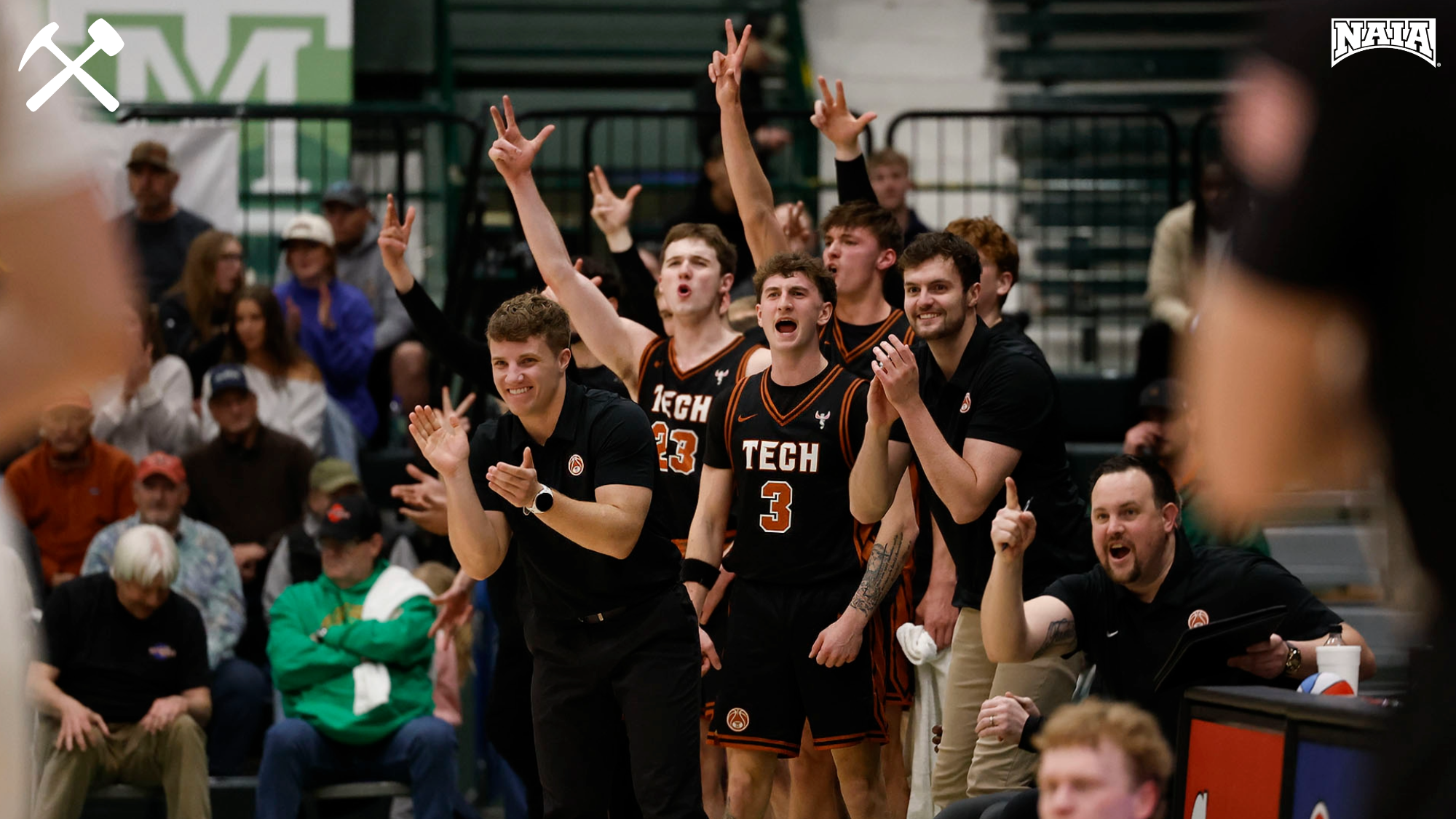 Montana Tech men's basketball players celebrate a basket from the bench