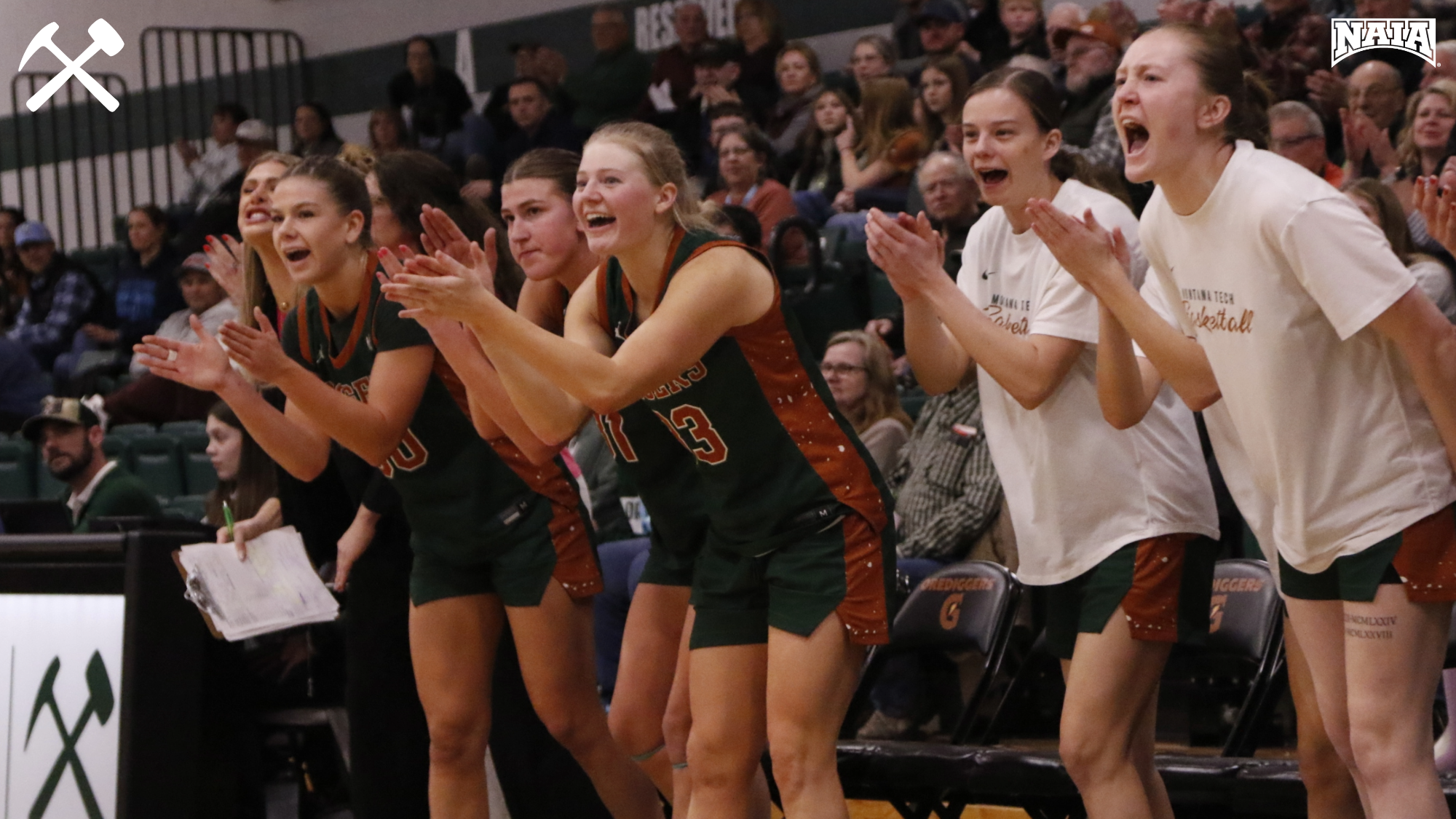 Montana Tech women's basketball players cheer from the bench