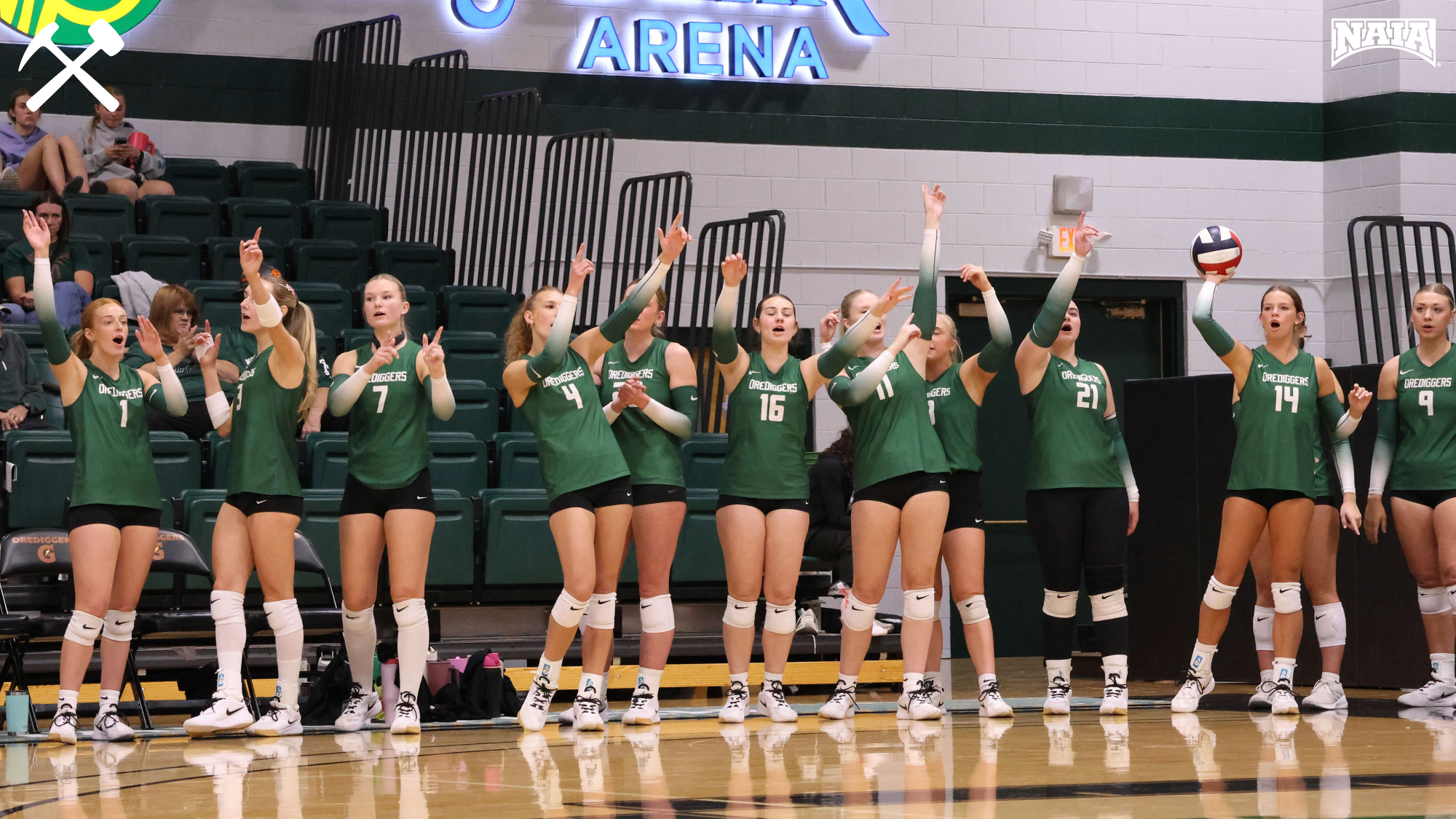 Montana Tech's volleyball bench celebrates a point