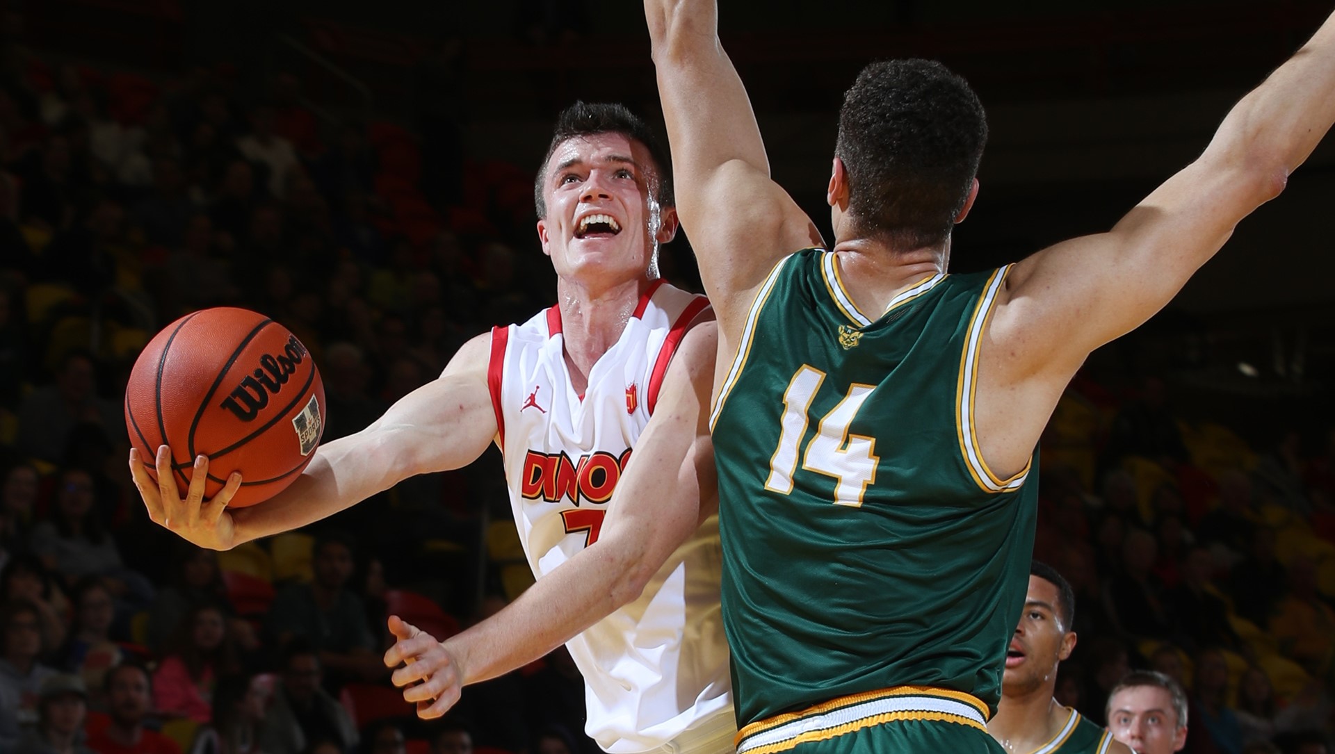 Calgary Dinos vs. Alberta Golden Bears; Feb. 1, 2020