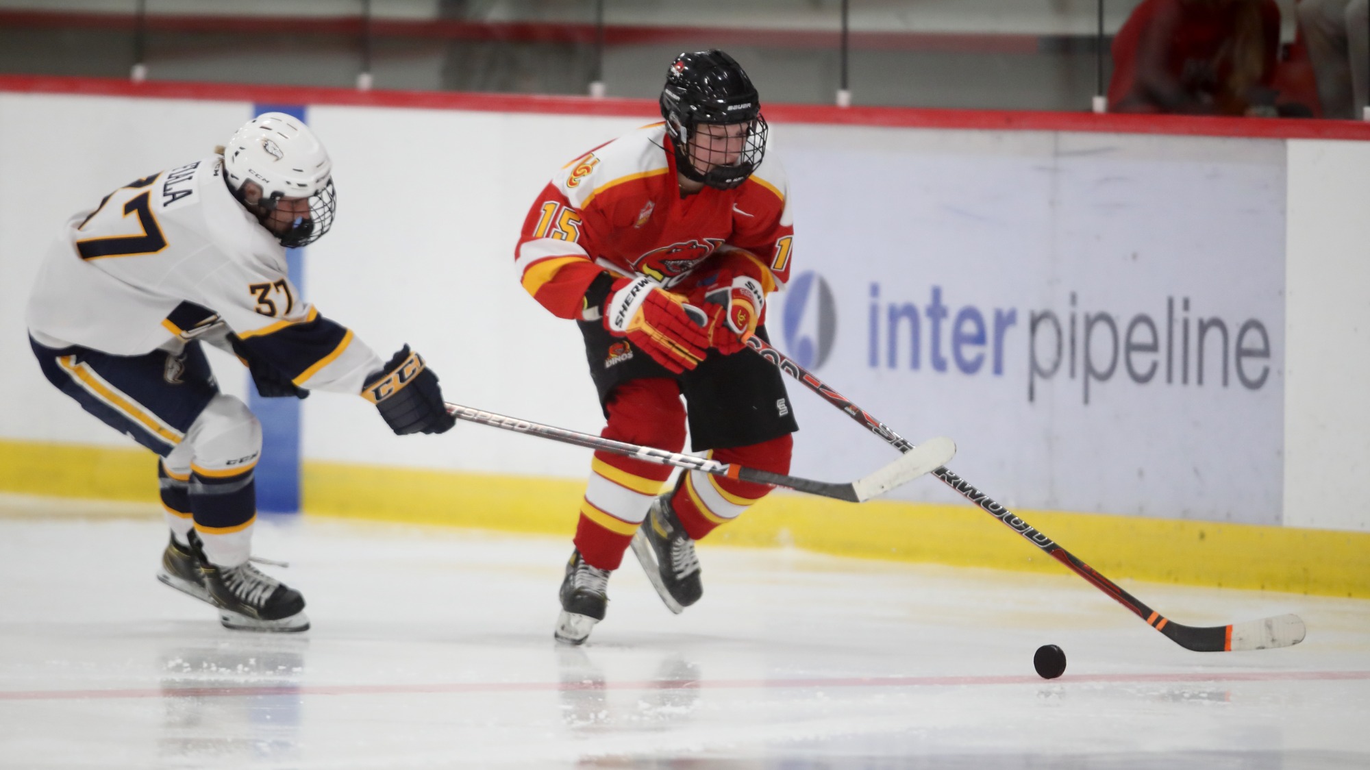 Keagan Goulet 202223 Women's Hockey University of Calgary Athletics