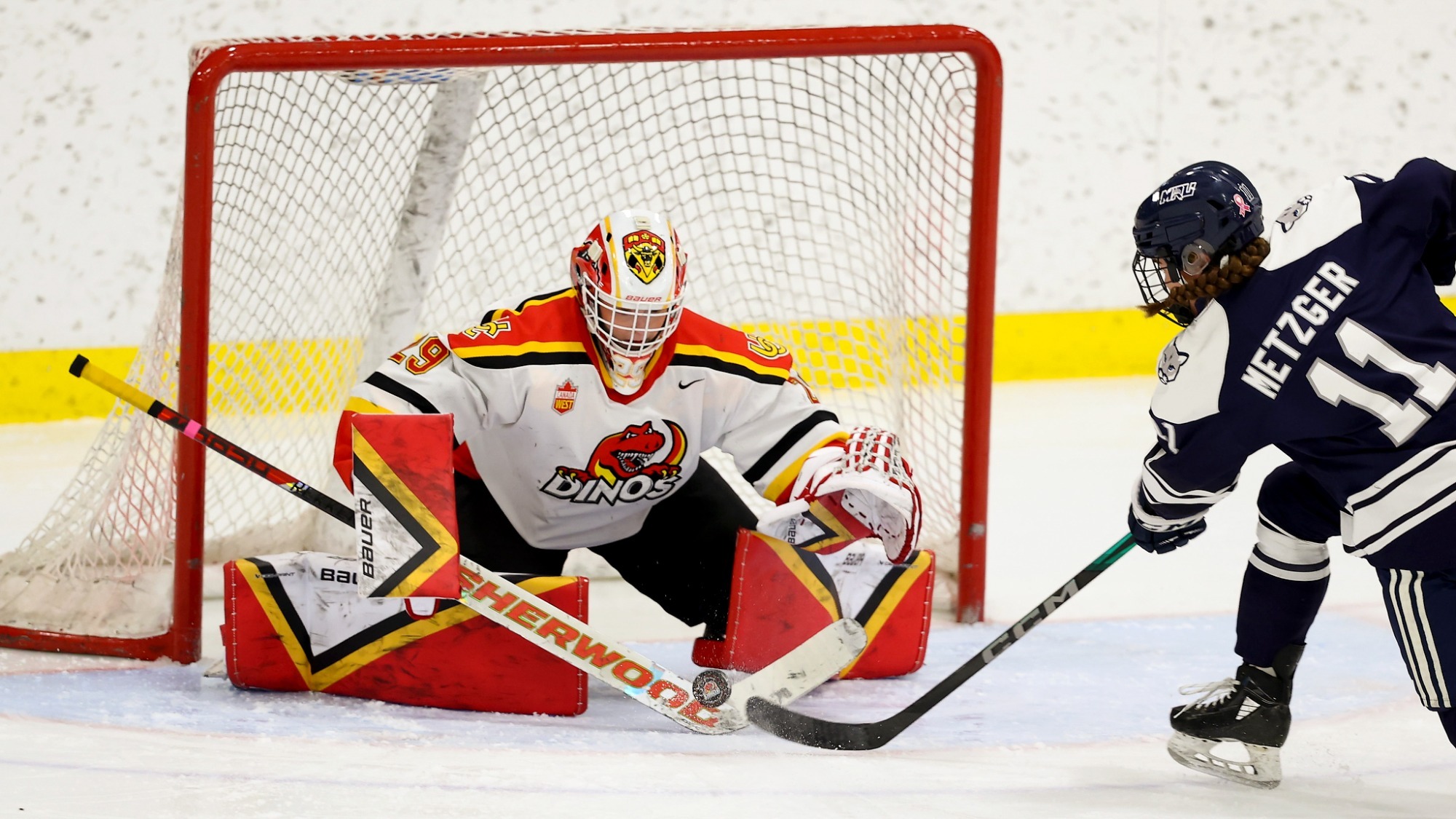 Amelia Awad, save