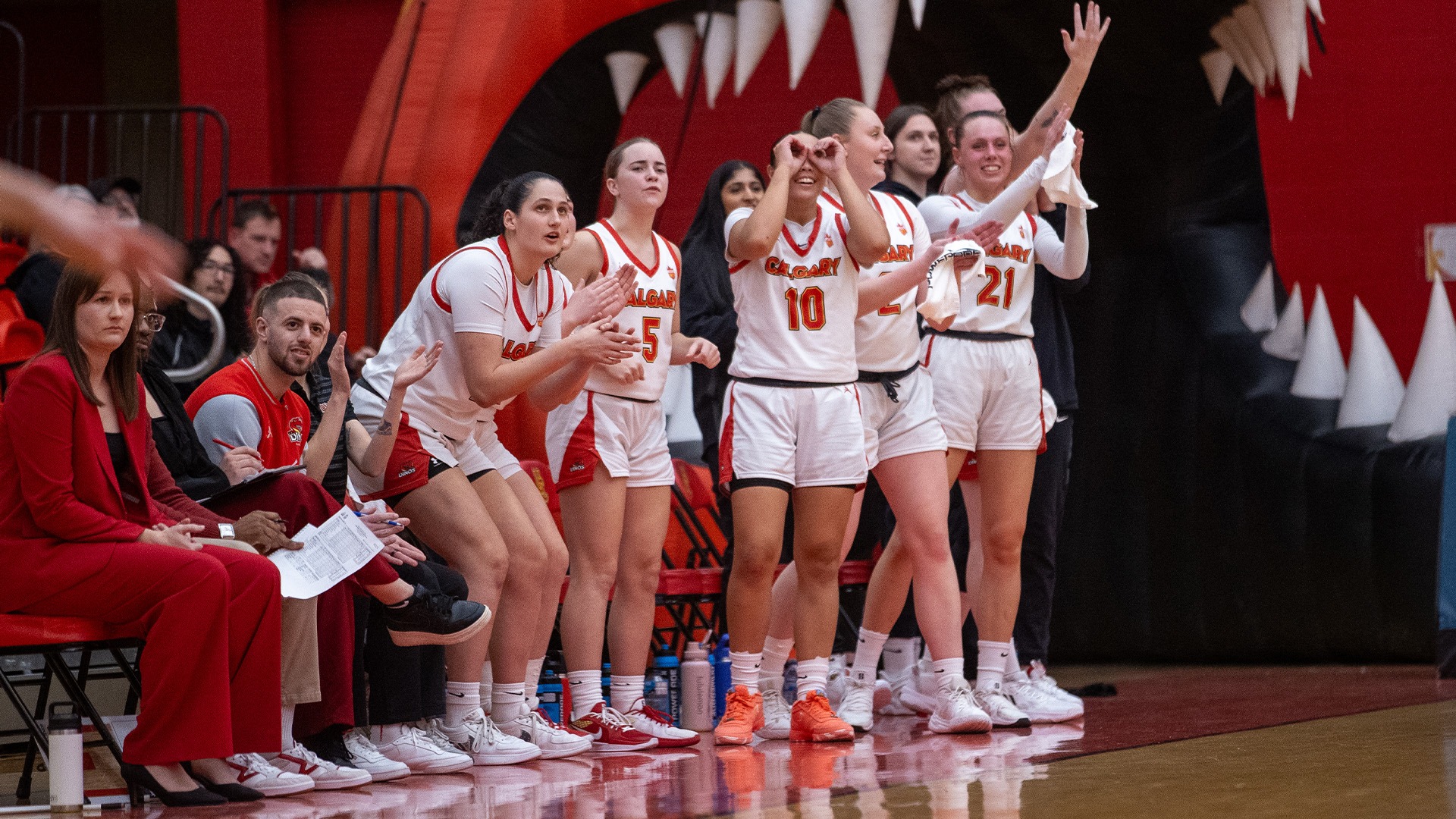 team, bench, celebration